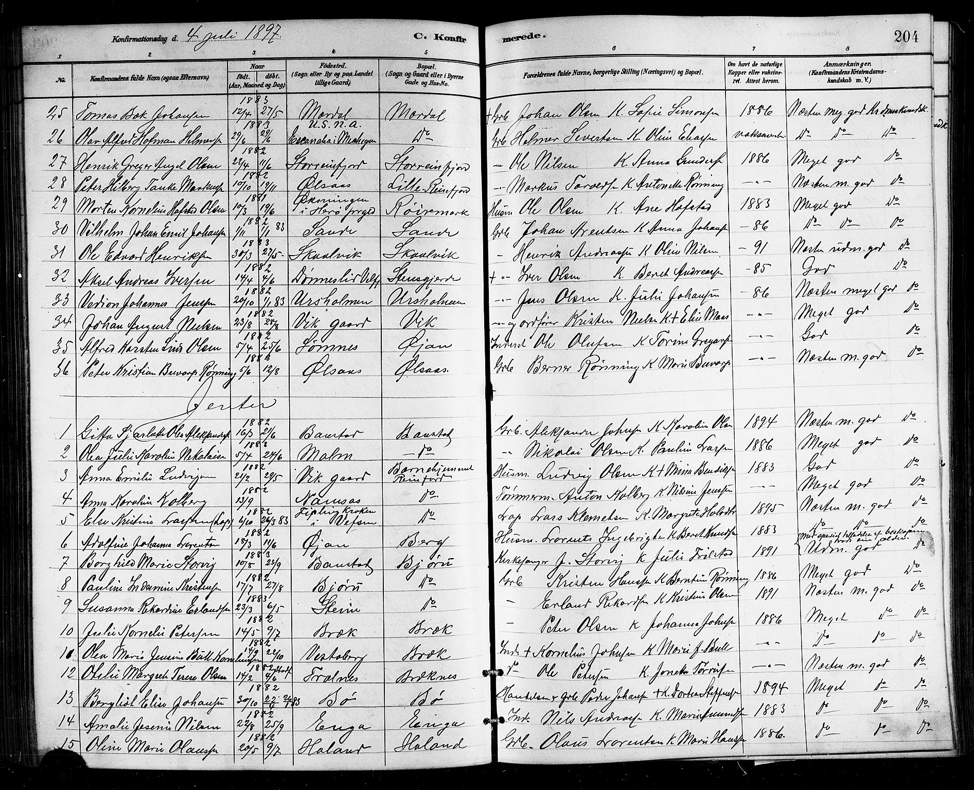 Ministerialprotokoller, klokkerbøker og fødselsregistre - Nordland, SAT/A-1459/812/L0188: Parish register (copy) no. 812C06, 1884-1912, p. 204