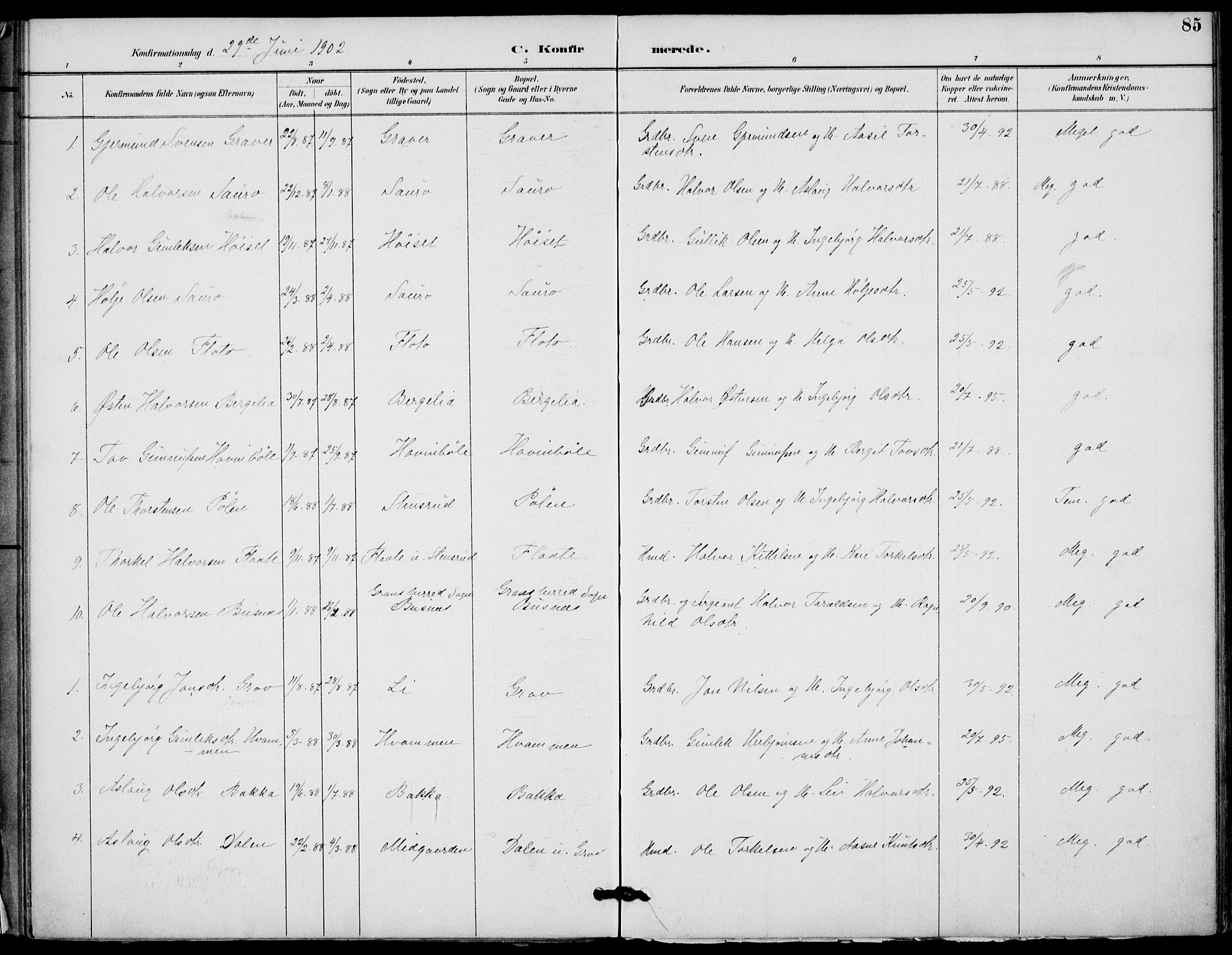 Gransherad kirkebøker, SAKO/A-267/F/Fb/L0005: Parish register (official) no. II 5, 1887-1916, p. 85