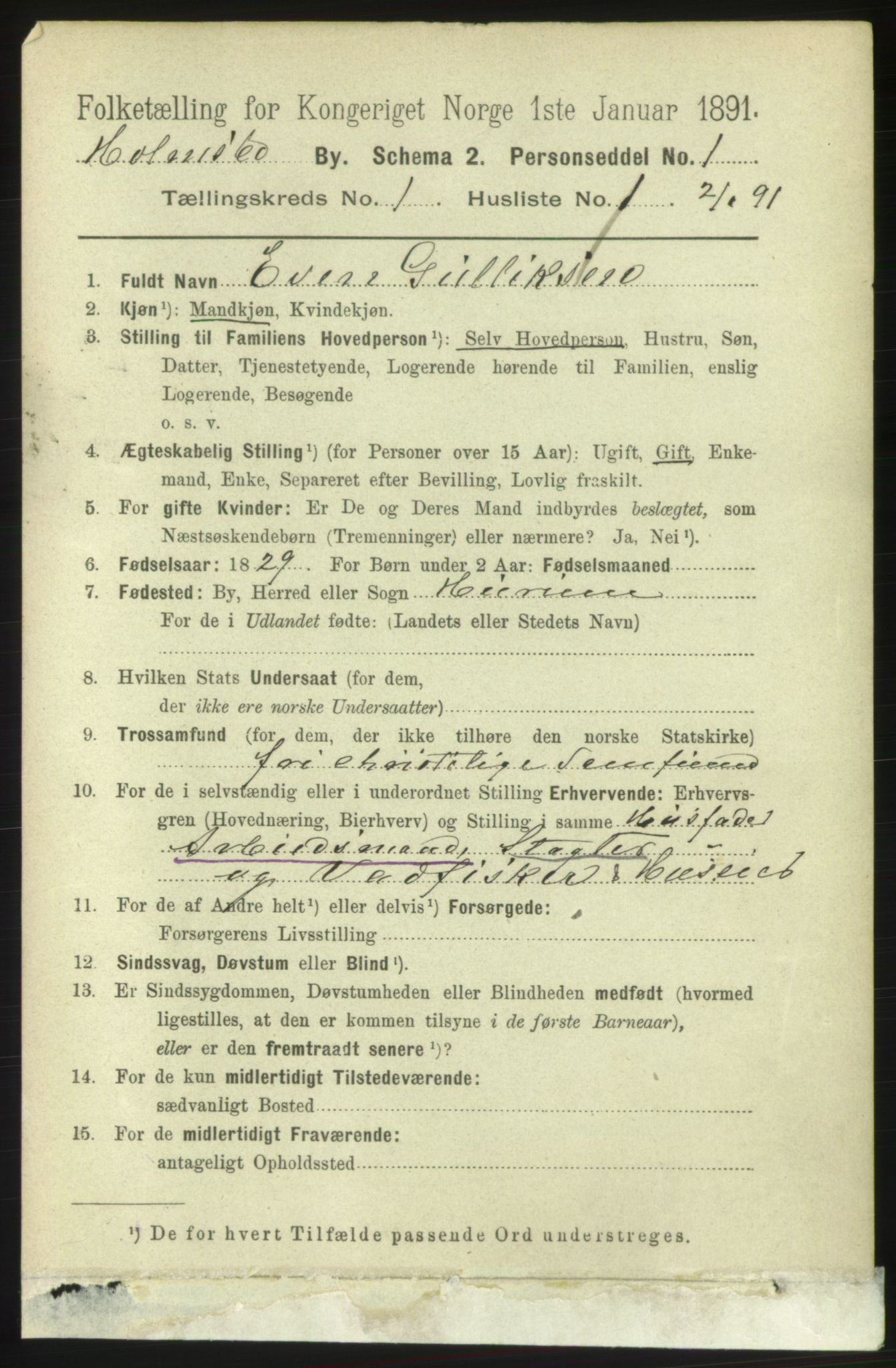 RA, 1891 census for 0603 Holmsbu, 1891, p. 206