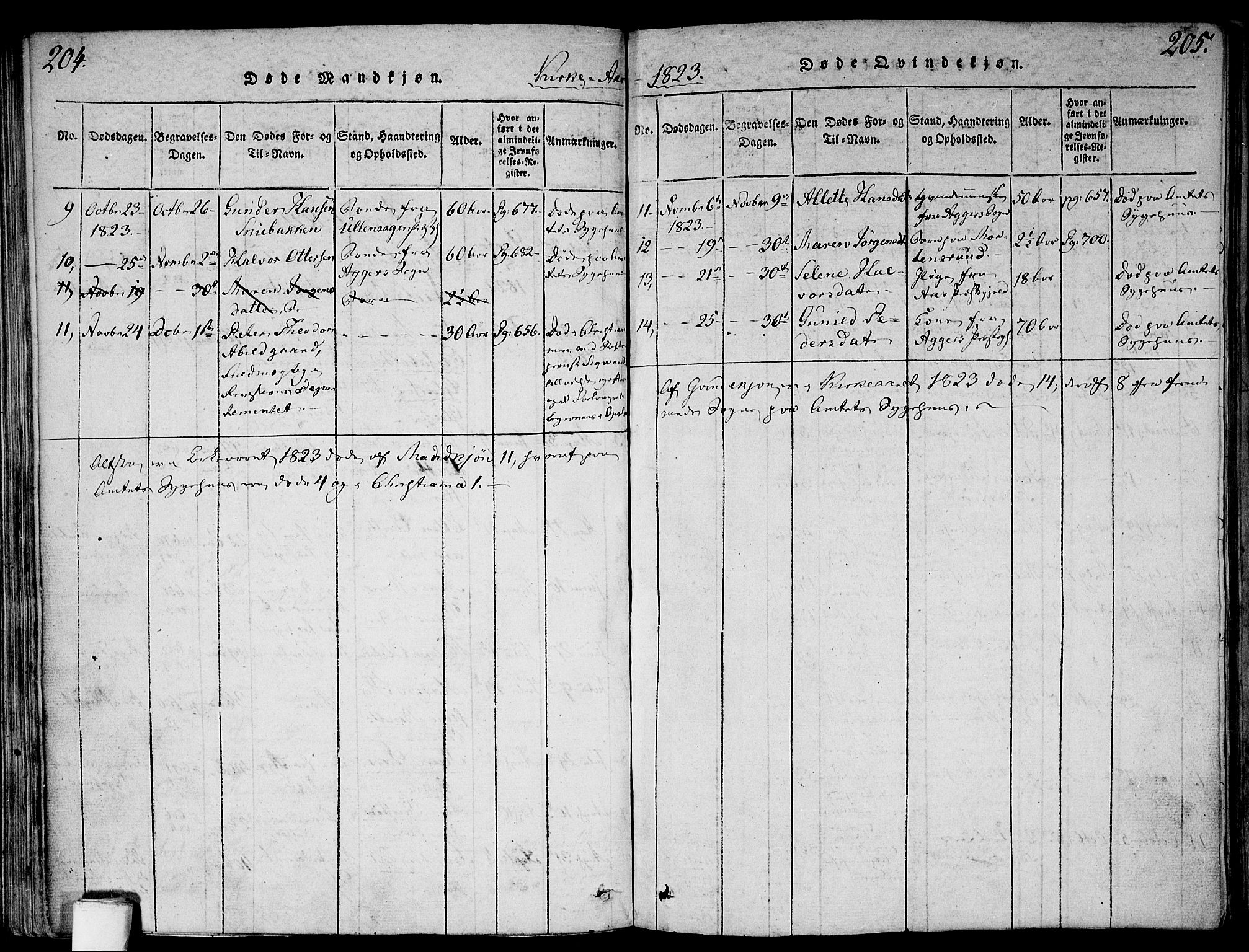 Gamlebyen prestekontor Kirkebøker, SAO/A-10884/F/Fa/L0002: Parish register (official) no. 2, 1817-1829, p. 204-205