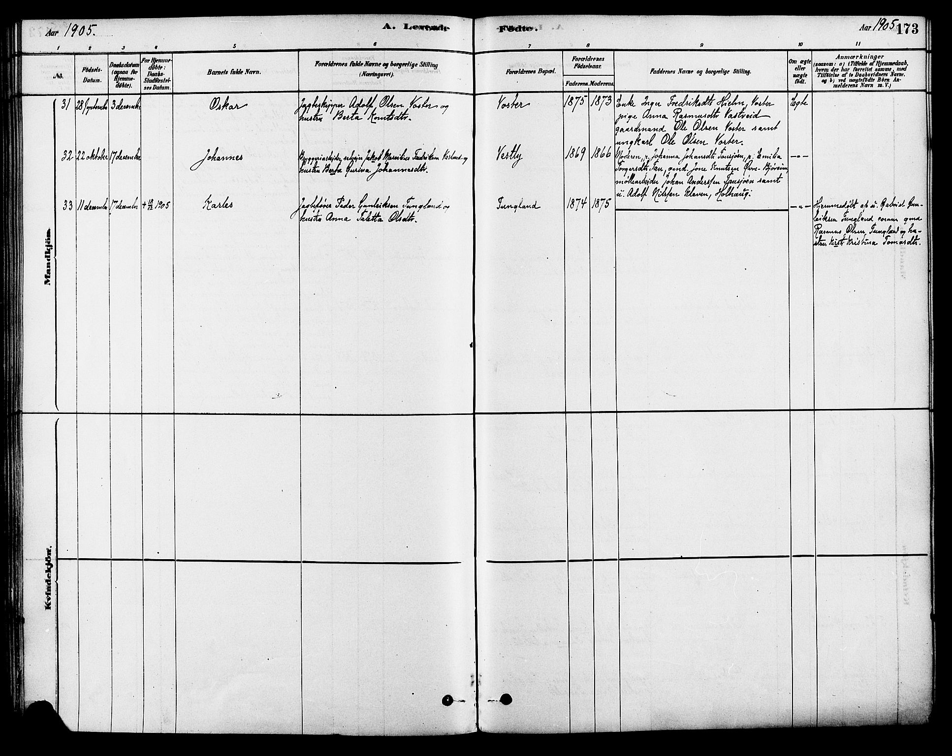 Strand sokneprestkontor, AV/SAST-A-101828/H/Ha/Haa/L0009: Parish register (official) no. A 9, 1877-1908, p. 173