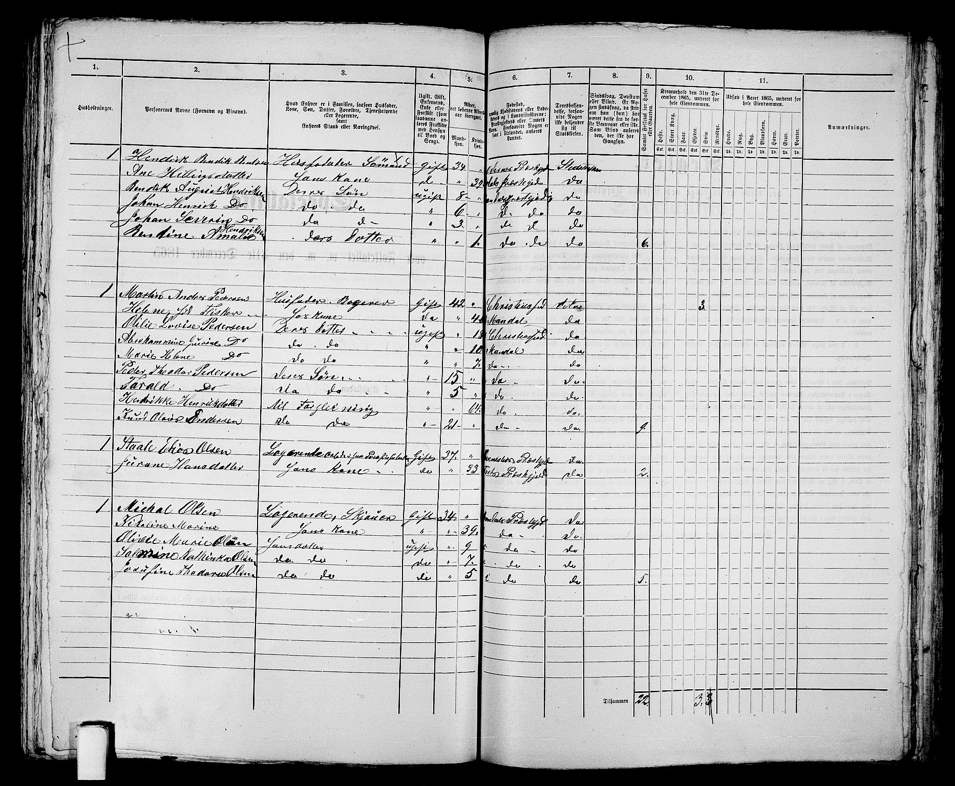 RA, 1865 census for Mandal/Mandal, 1865, p. 365