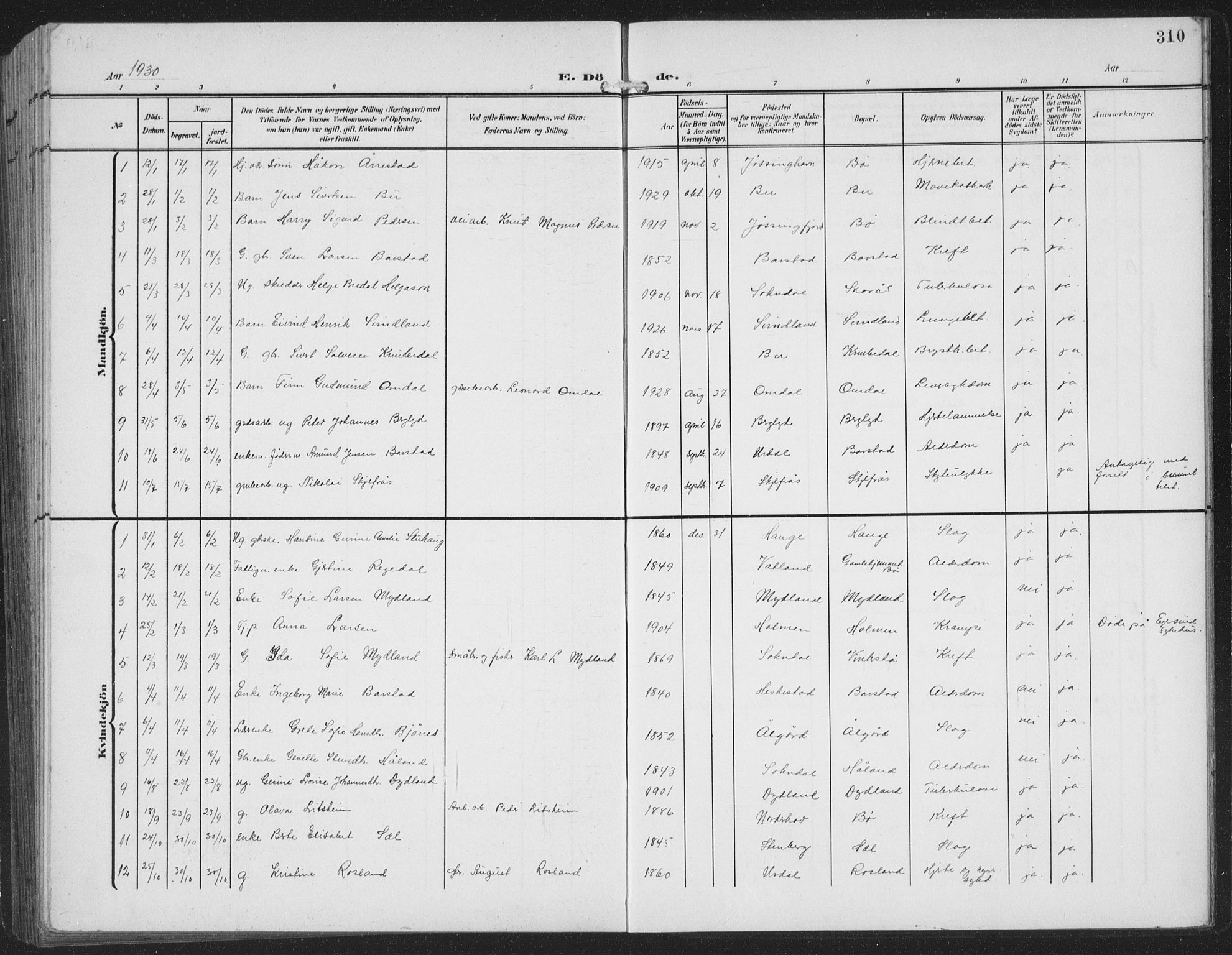 Sokndal sokneprestkontor, AV/SAST-A-101808: Parish register (copy) no. B 8, 1908-1934, p. 310