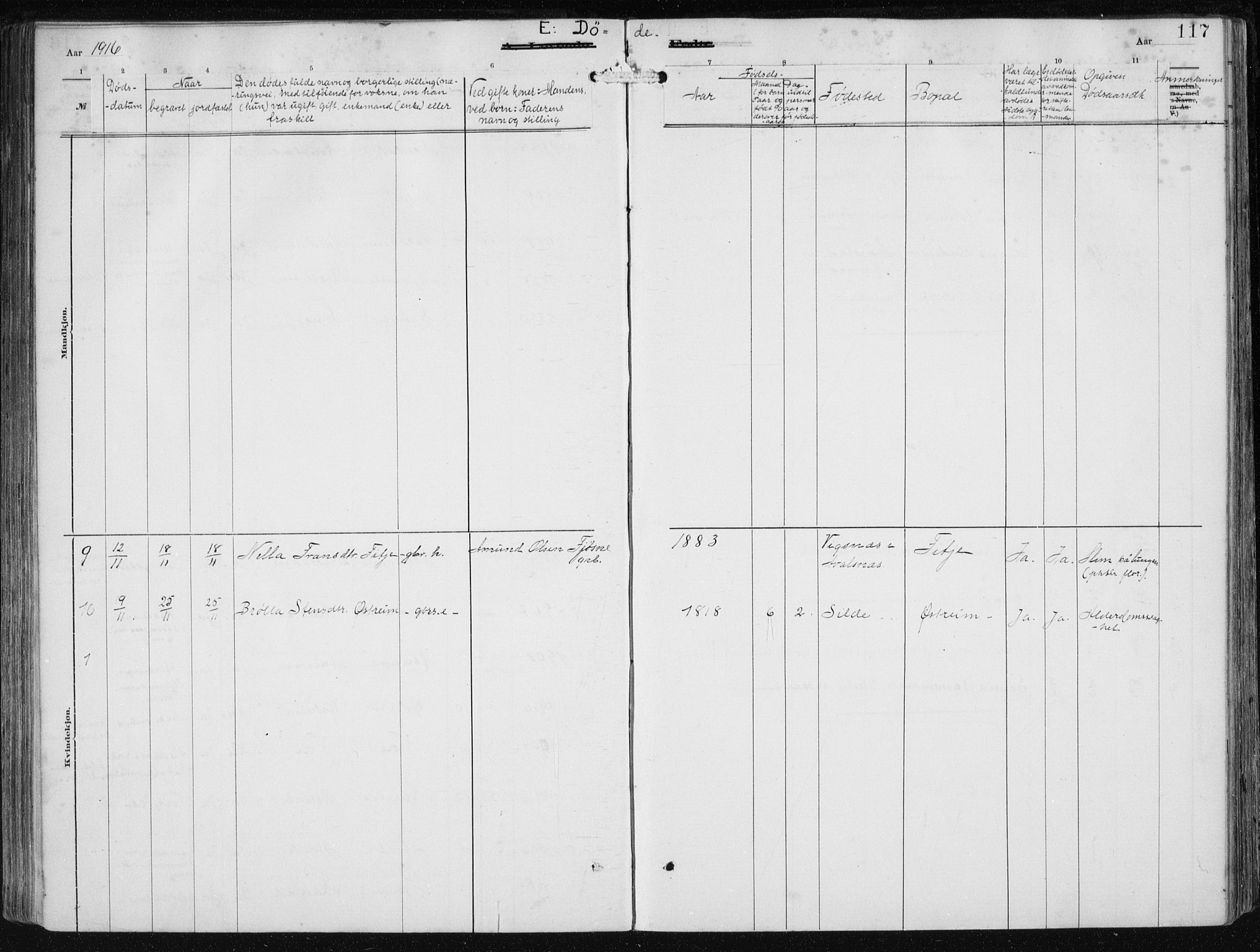 Etne sokneprestembete, AV/SAB-A-75001/H/Haa: Parish register (official) no. B  1, 1879-1919, p. 117