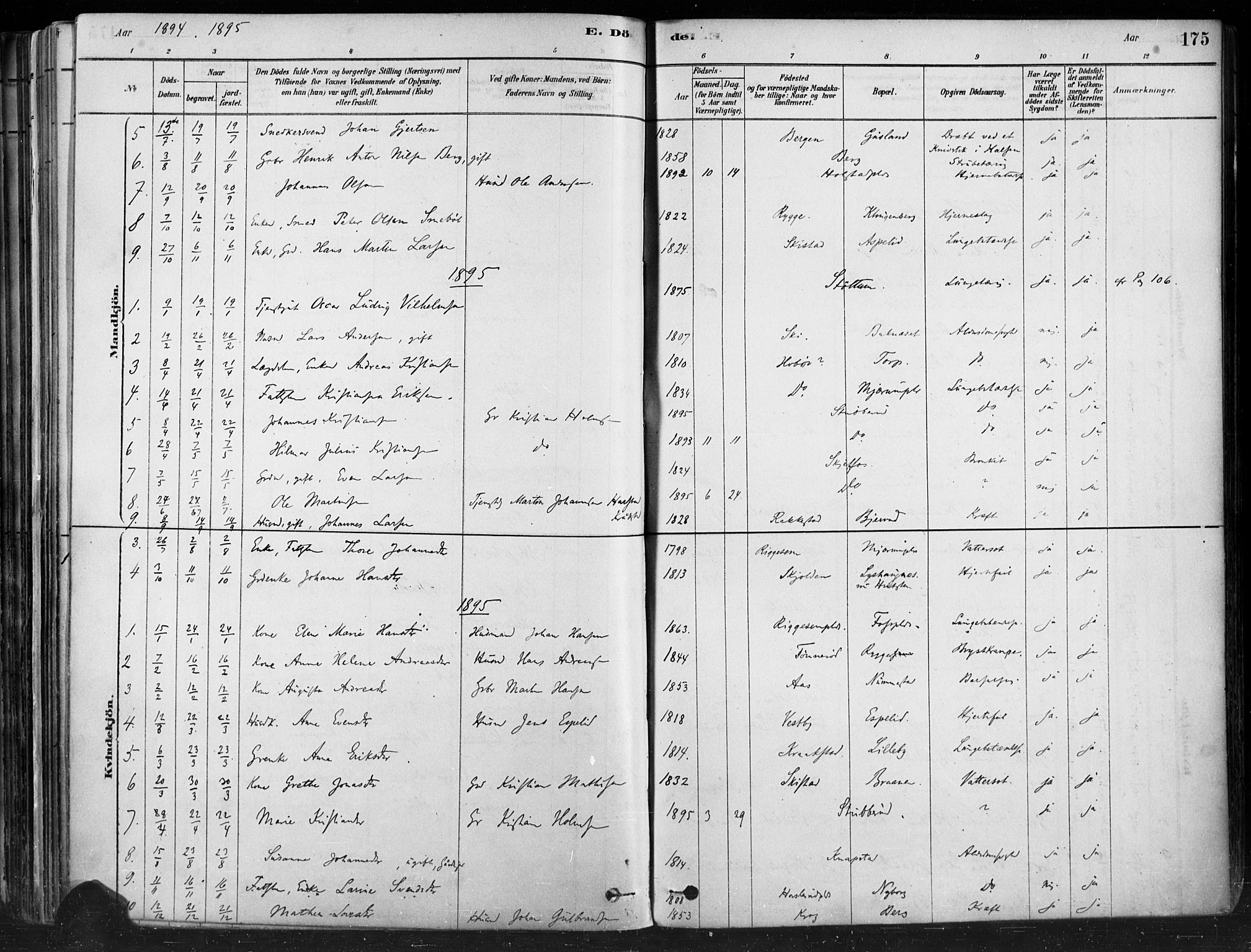 Hobøl prestekontor Kirkebøker, AV/SAO-A-2002/F/Fa/L0005: Parish register (official) no. I 5, 1878-1904, p. 175