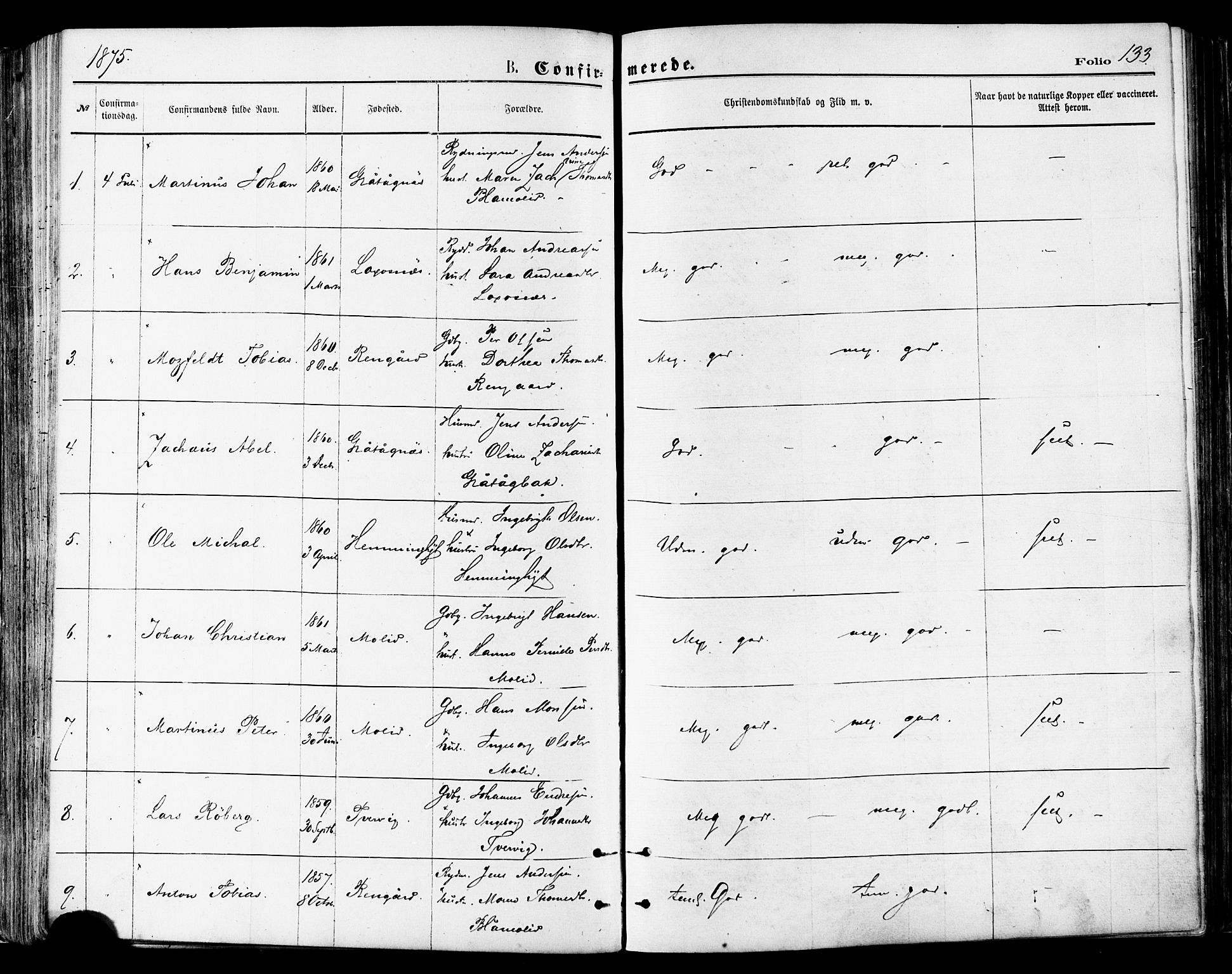 Ministerialprotokoller, klokkerbøker og fødselsregistre - Nordland, SAT/A-1459/846/L0645: Parish register (official) no. 846A03, 1872-1886, p. 133