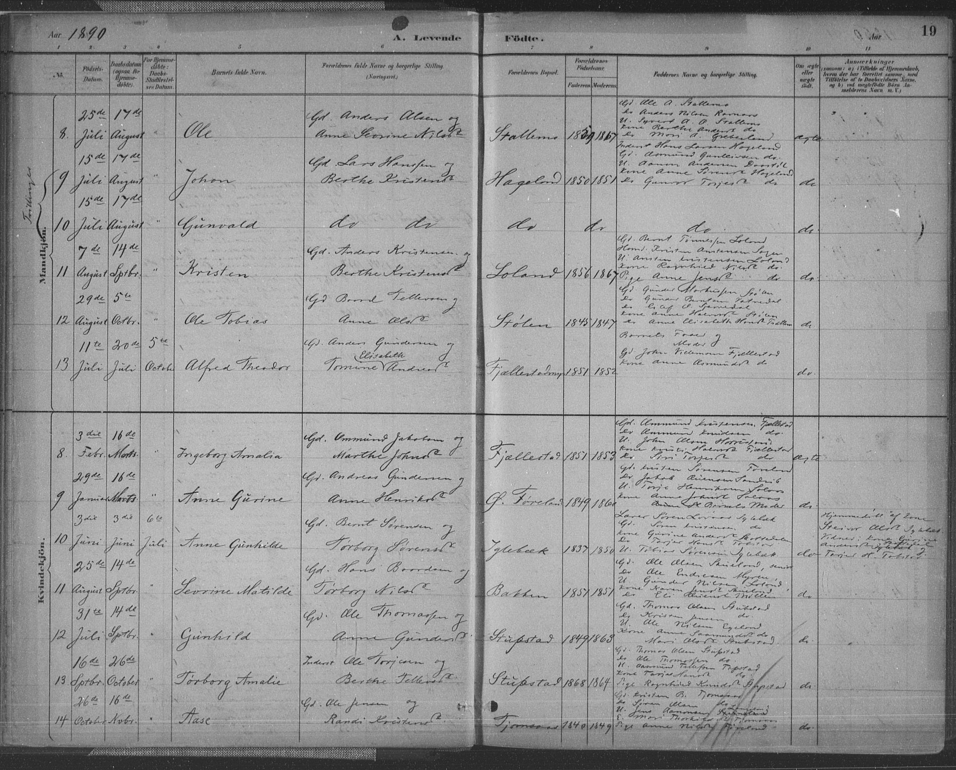 Vennesla sokneprestkontor, AV/SAK-1111-0045/Fa/Fac/L0009: Parish register (official) no. A 9, 1884-1901, p. 19