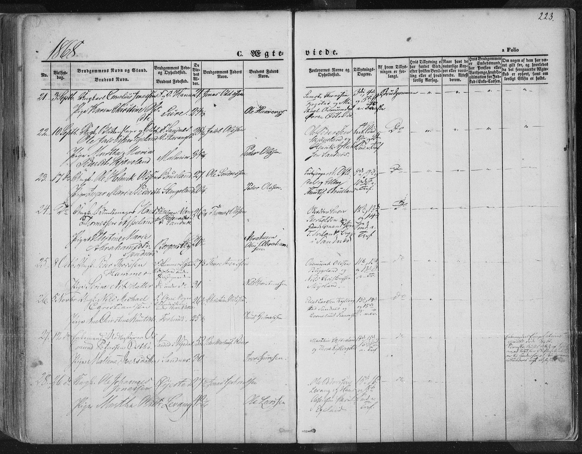 Høyland sokneprestkontor, AV/SAST-A-101799/001/30BA/L0010: Parish register (official) no. A 9.1, 1857-1877, p. 223