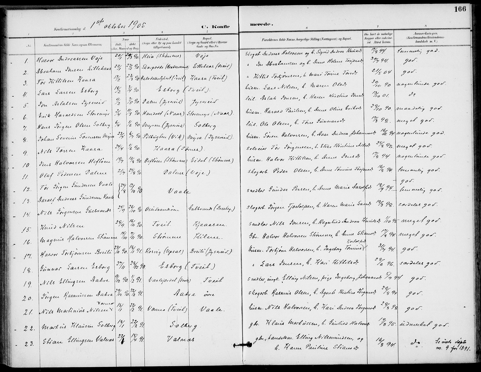 Drangedal kirkebøker, SAKO/A-258/F/Fa/L0012: Parish register (official) no. 12, 1895-1905, p. 166