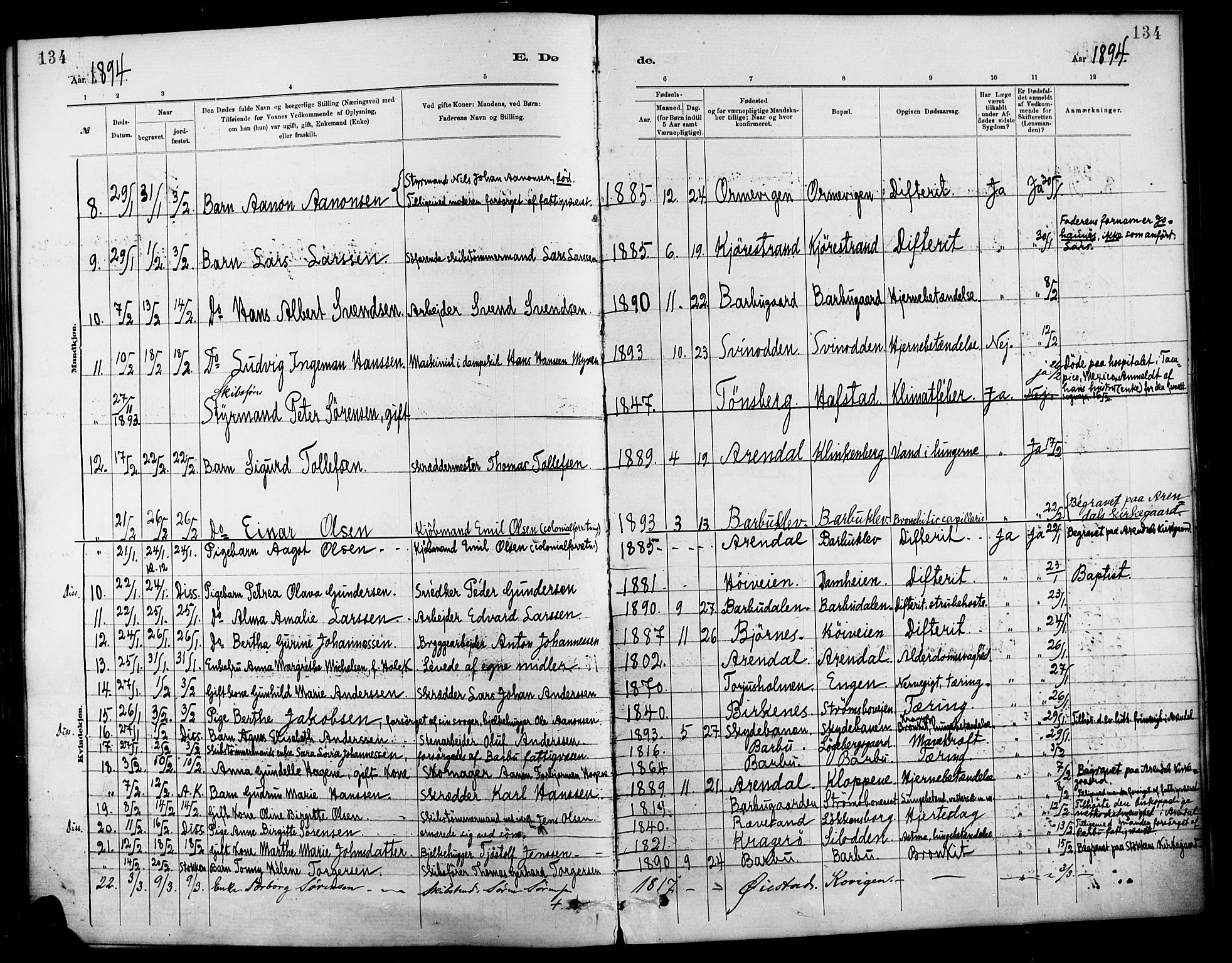 Barbu sokneprestkontor, AV/SAK-1111-0003/F/Fa/L0003: Parish register (official) no. A 3, 1883-1898, p. 134