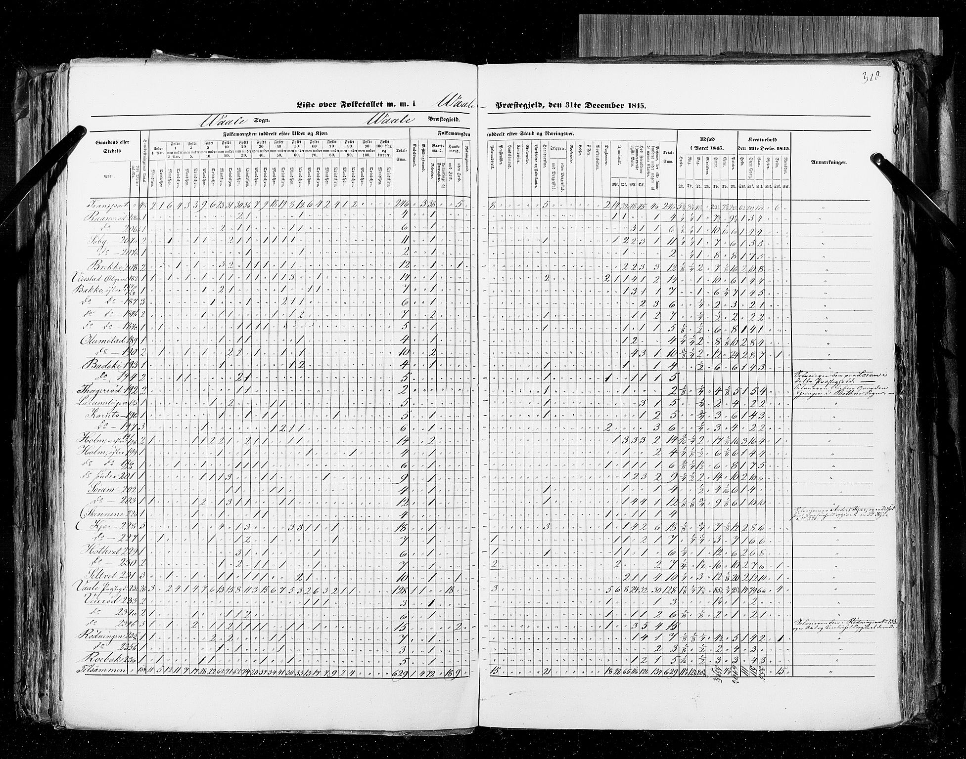 RA, Census 1845, vol. 4: Buskerud amt og Jarlsberg og Larvik amt, 1845, p. 328