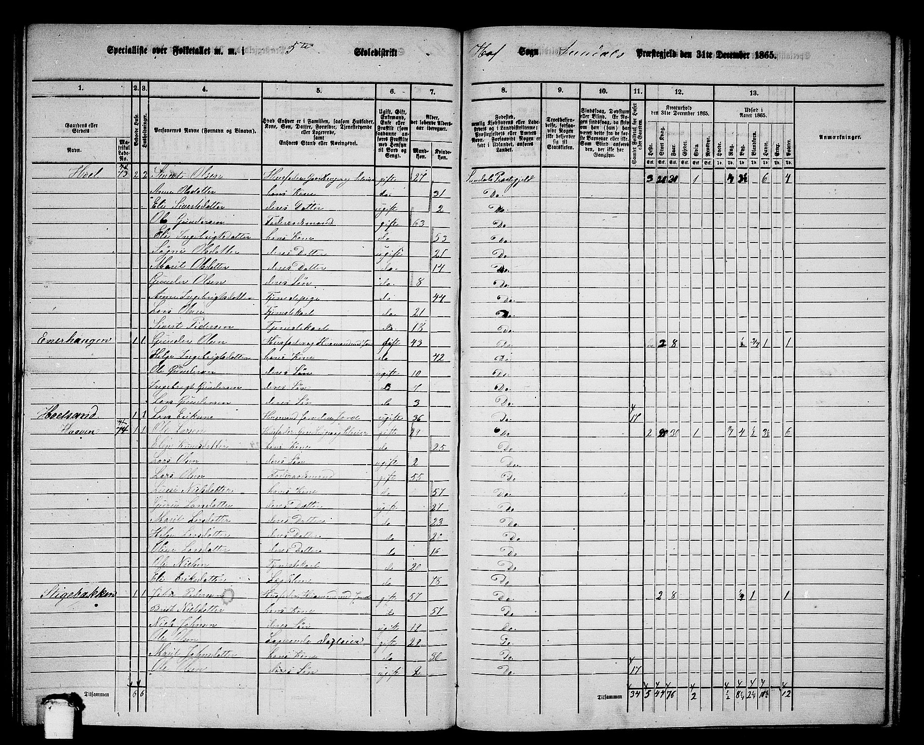 RA, 1865 census for Sunndal, 1865, p. 67