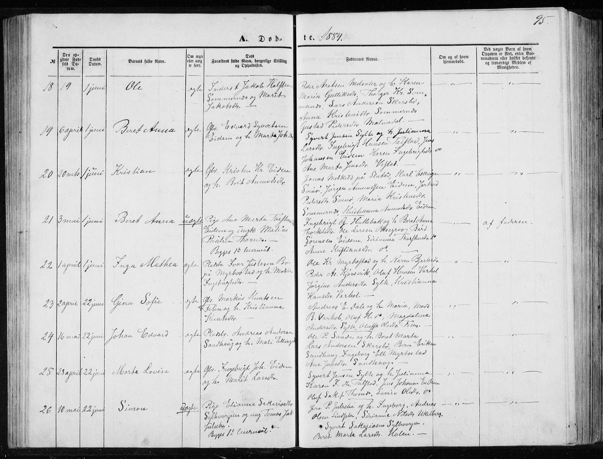 Ministerialprotokoller, klokkerbøker og fødselsregistre - Møre og Romsdal, SAT/A-1454/565/L0754: Parish register (copy) no. 565C03, 1870-1896, p. 95