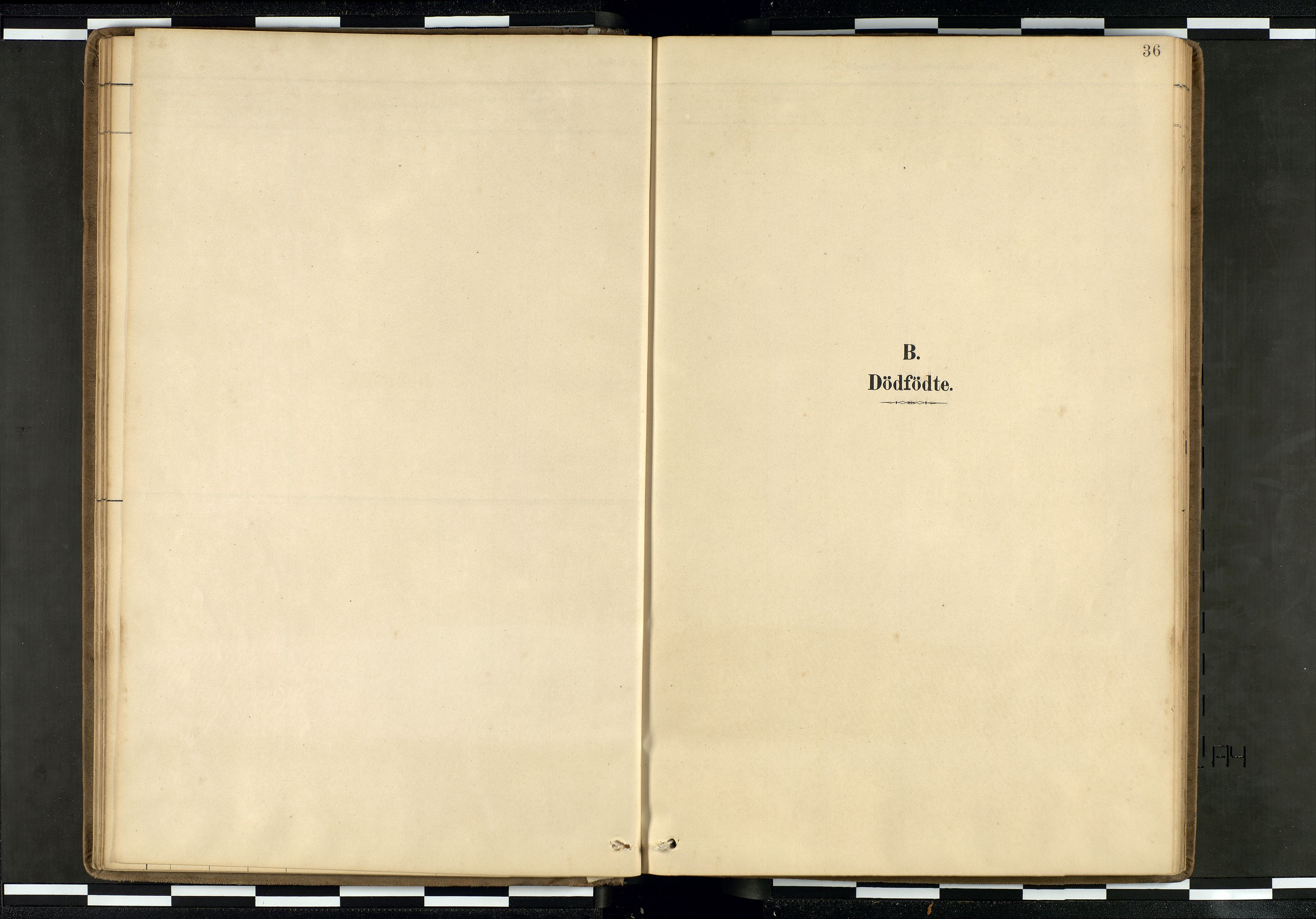 Den norske sjømannsmisjon i utlandet/Hollandske havner (Amsterdam-Rotterdam-Europort), SAB/SAB/PA-0106/H/Ha/Haa/L0002: Parish register (official) no. A 2, 1887-1907, p. 35b-36a