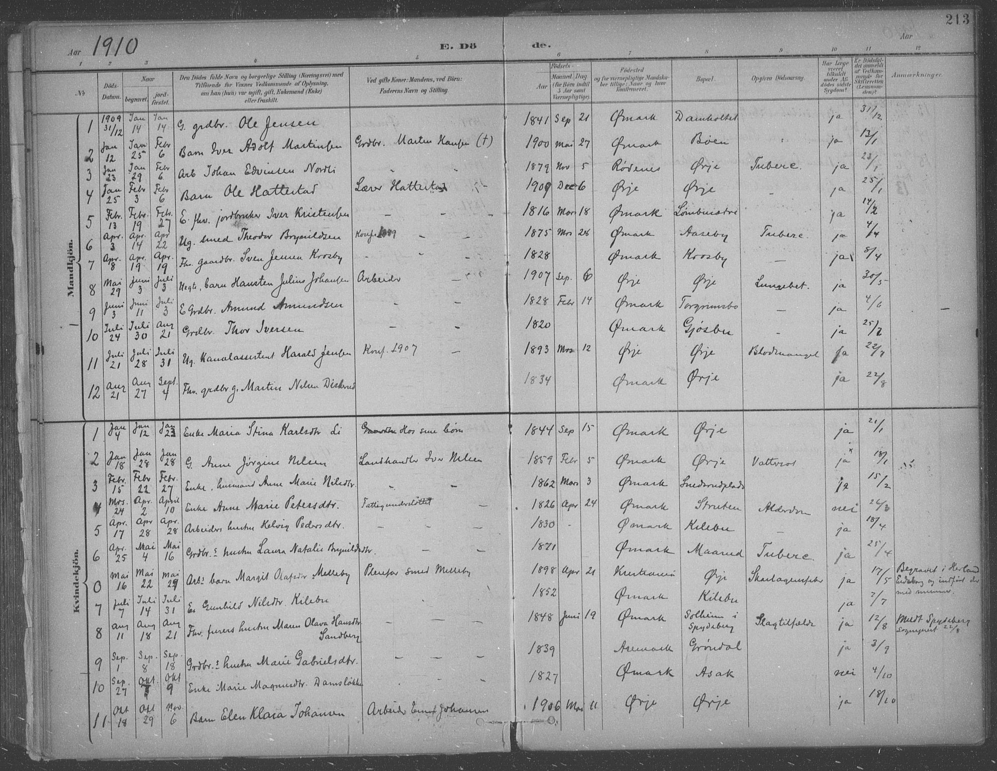 Aremark prestekontor Kirkebøker, SAO/A-10899/F/Fb/L0005: Parish register (official) no. II 5, 1895-1919, p. 213