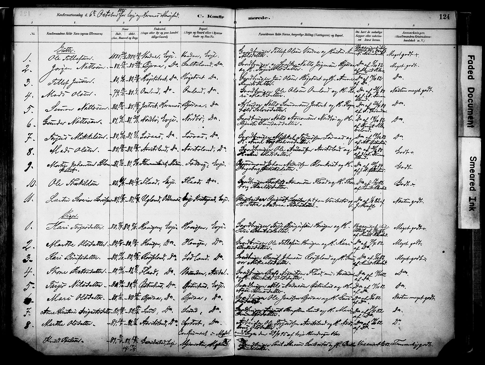 Evje sokneprestkontor, AV/SAK-1111-0008/F/Fa/Faa/L0007: Parish register (official) no. A 7, 1884-1909, p. 124