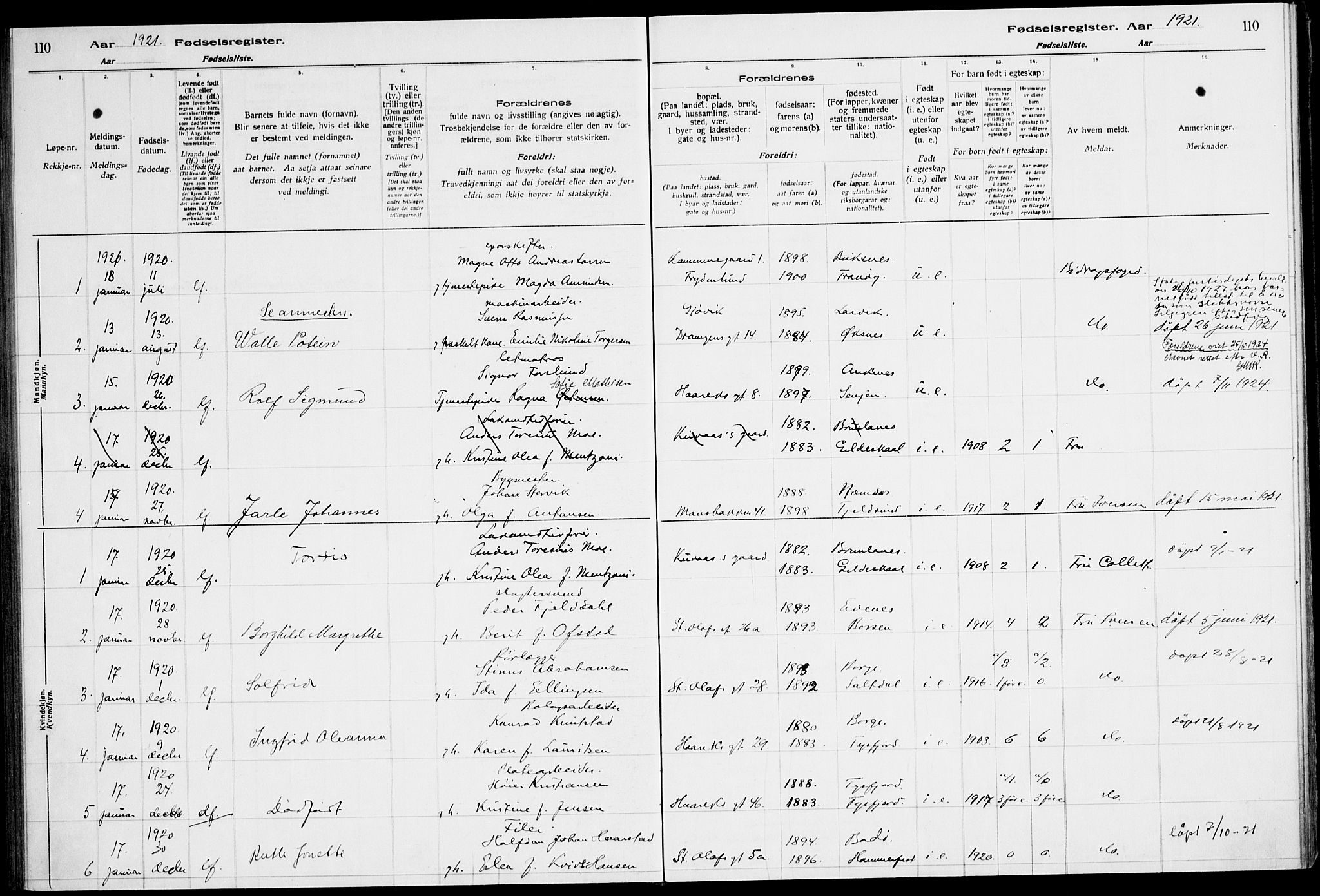Ministerialprotokoller, klokkerbøker og fødselsregistre - Nordland, SAT/A-1459/871/L1013: Birth register no. 871.II.4.1, 1916-1924, p. 110