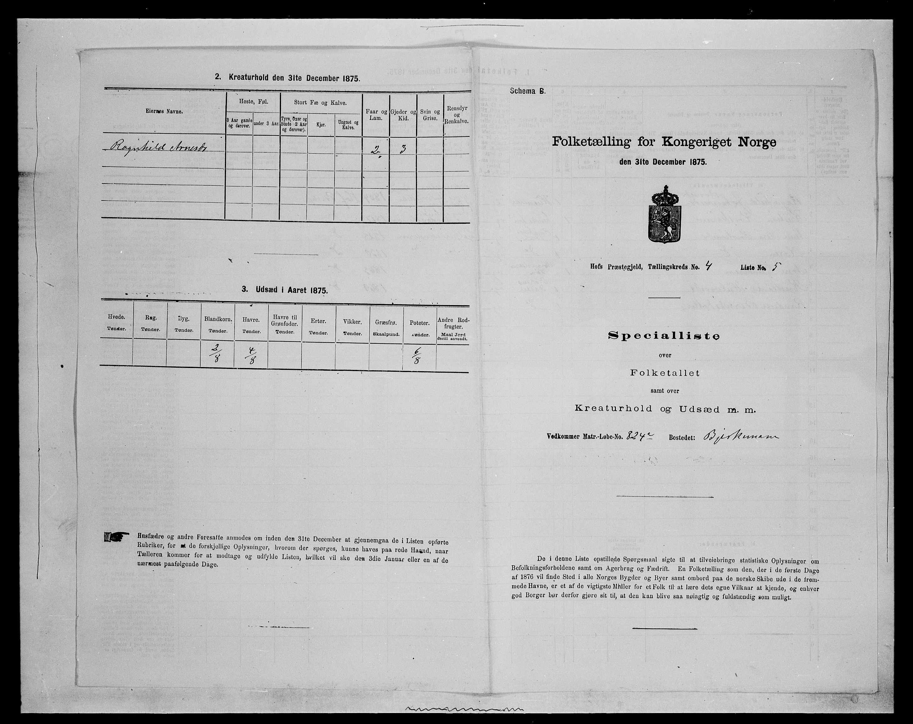 SAH, 1875 census for 0424P Hof, 1875, p. 690