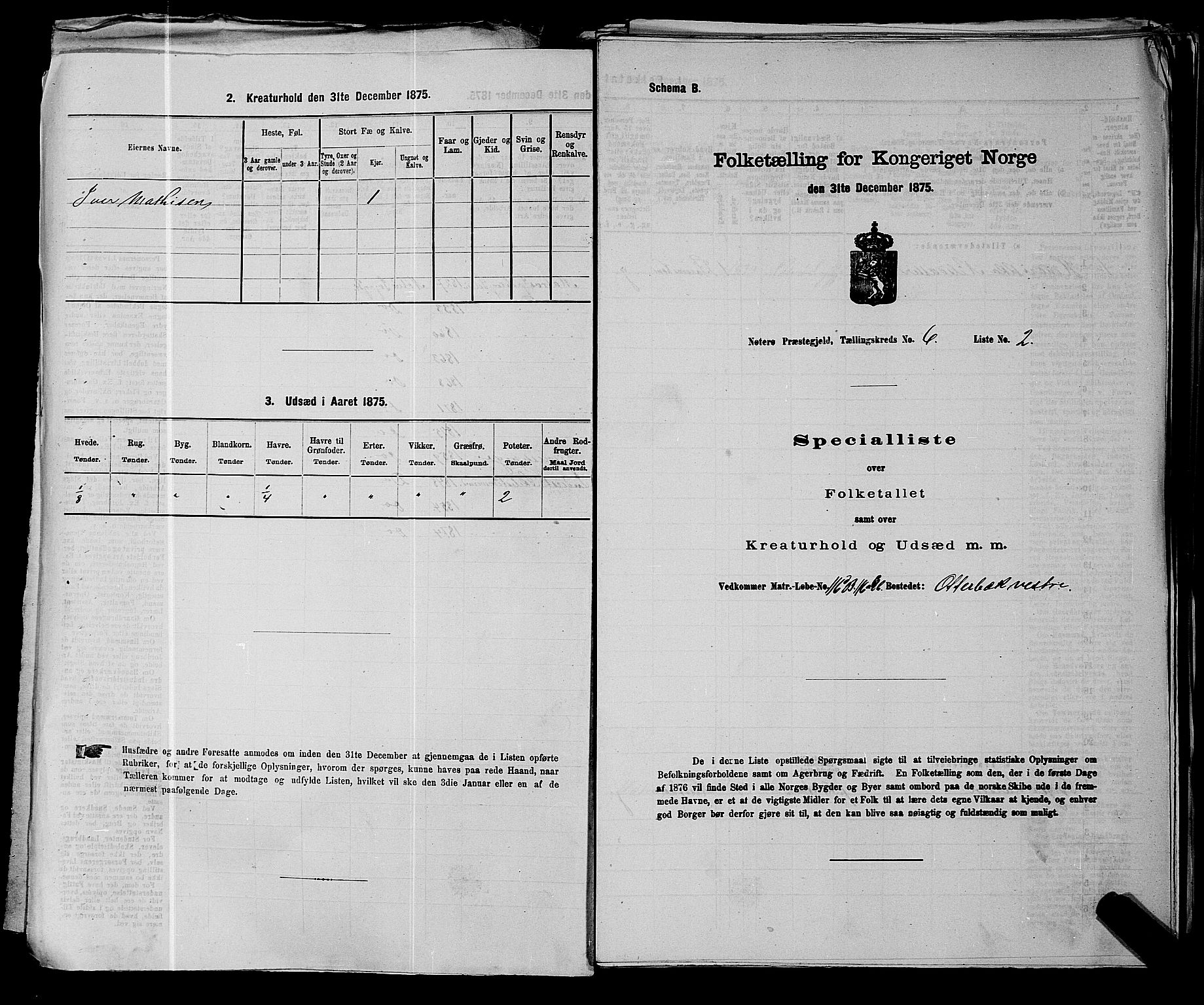 SAKO, 1875 census for 0722P Nøtterøy, 1875, p. 1152