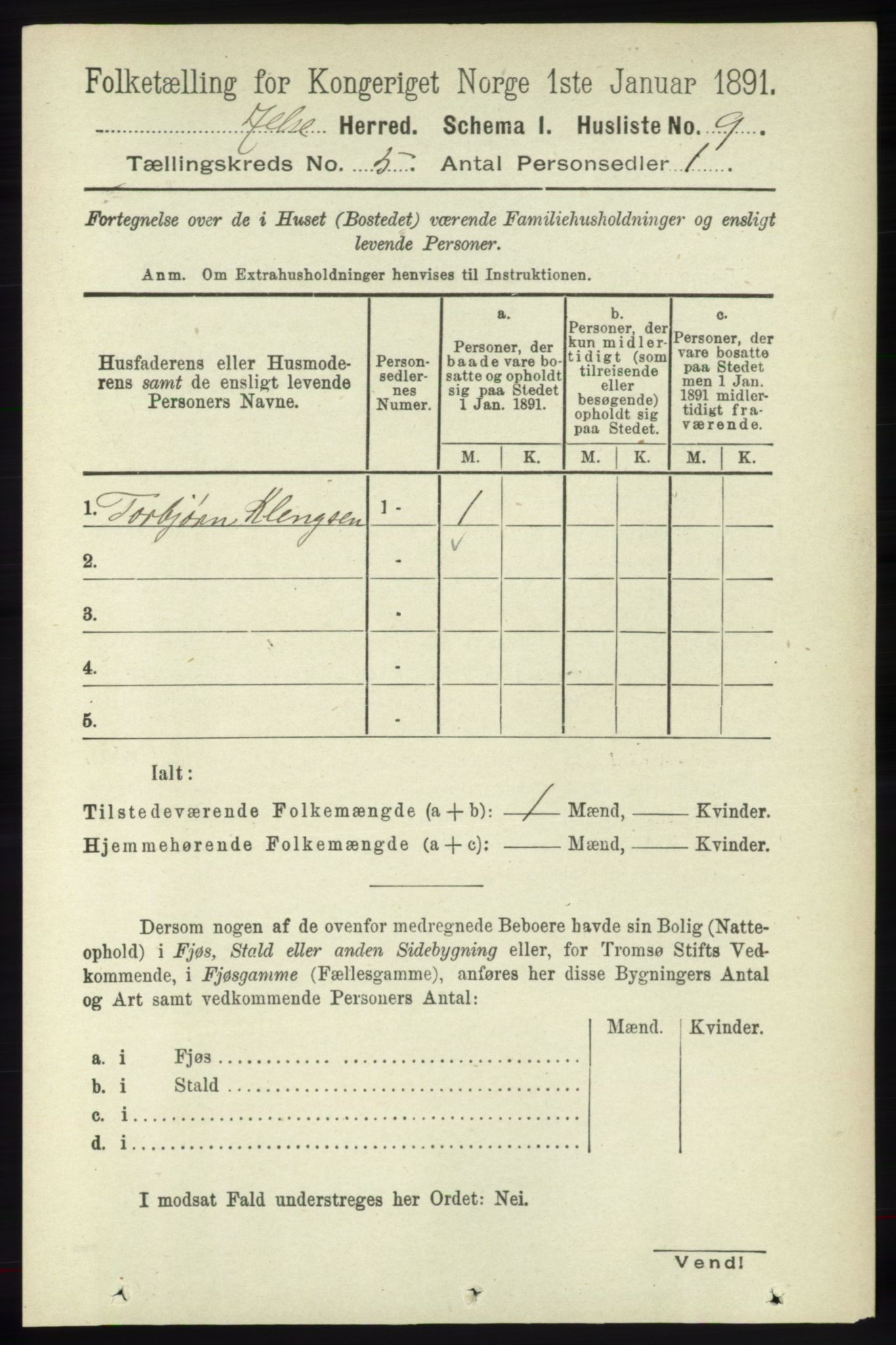 RA, 1891 census for 1138 Jelsa, 1891, p. 1050