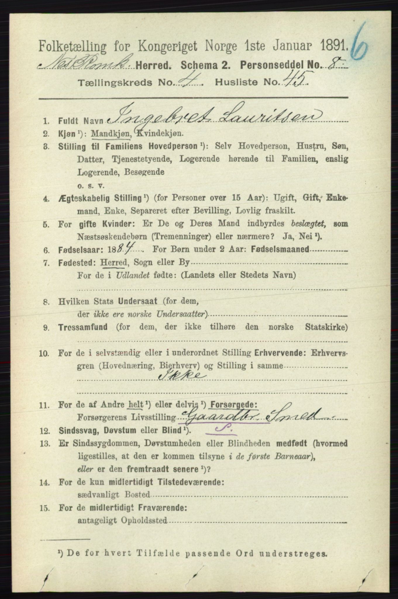 RA, 1891 census for 0236 Nes, 1891, p. 2516