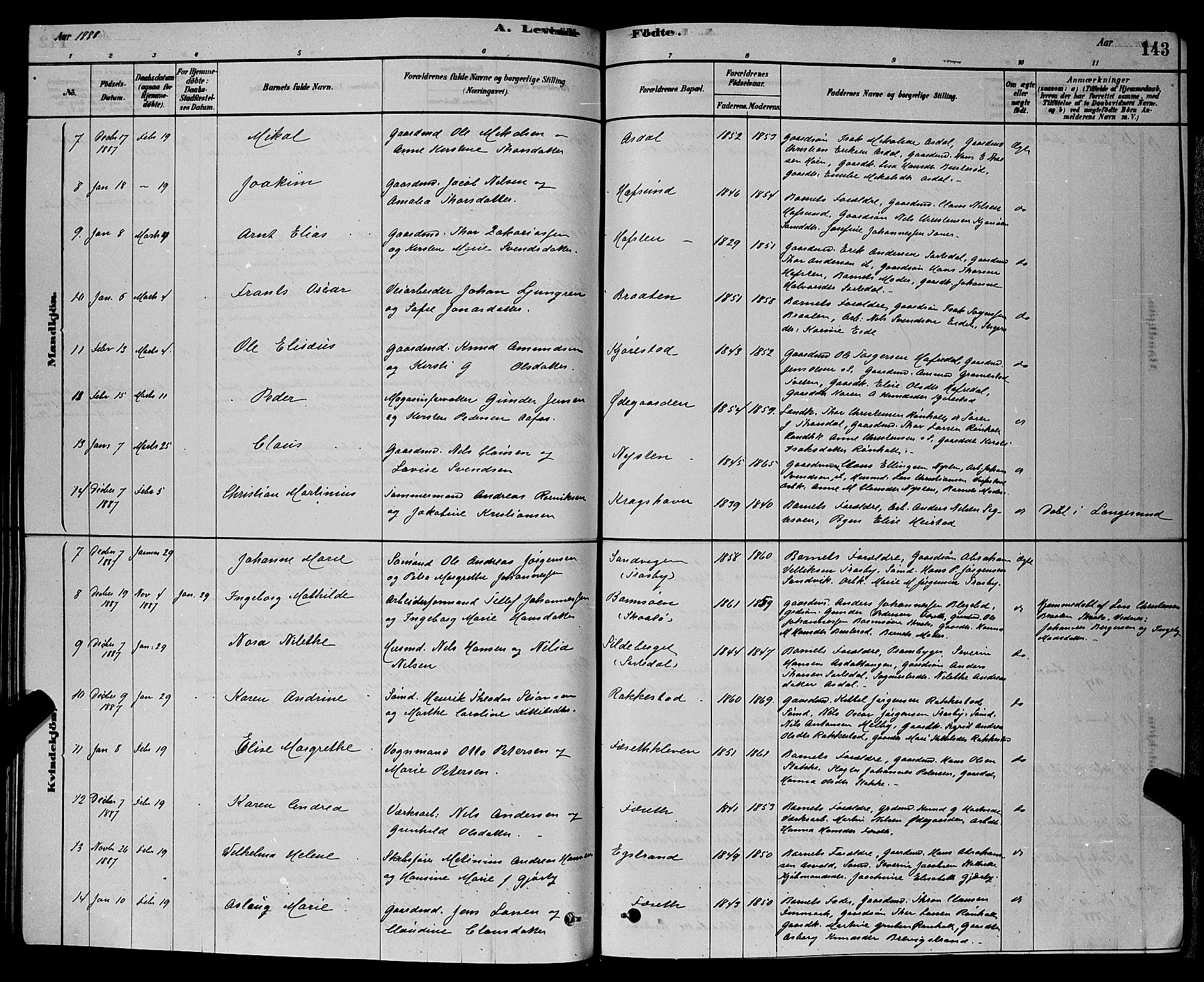 Bamble kirkebøker, SAKO/A-253/G/Ga/L0008: Parish register (copy) no. I 8, 1878-1888, p. 143