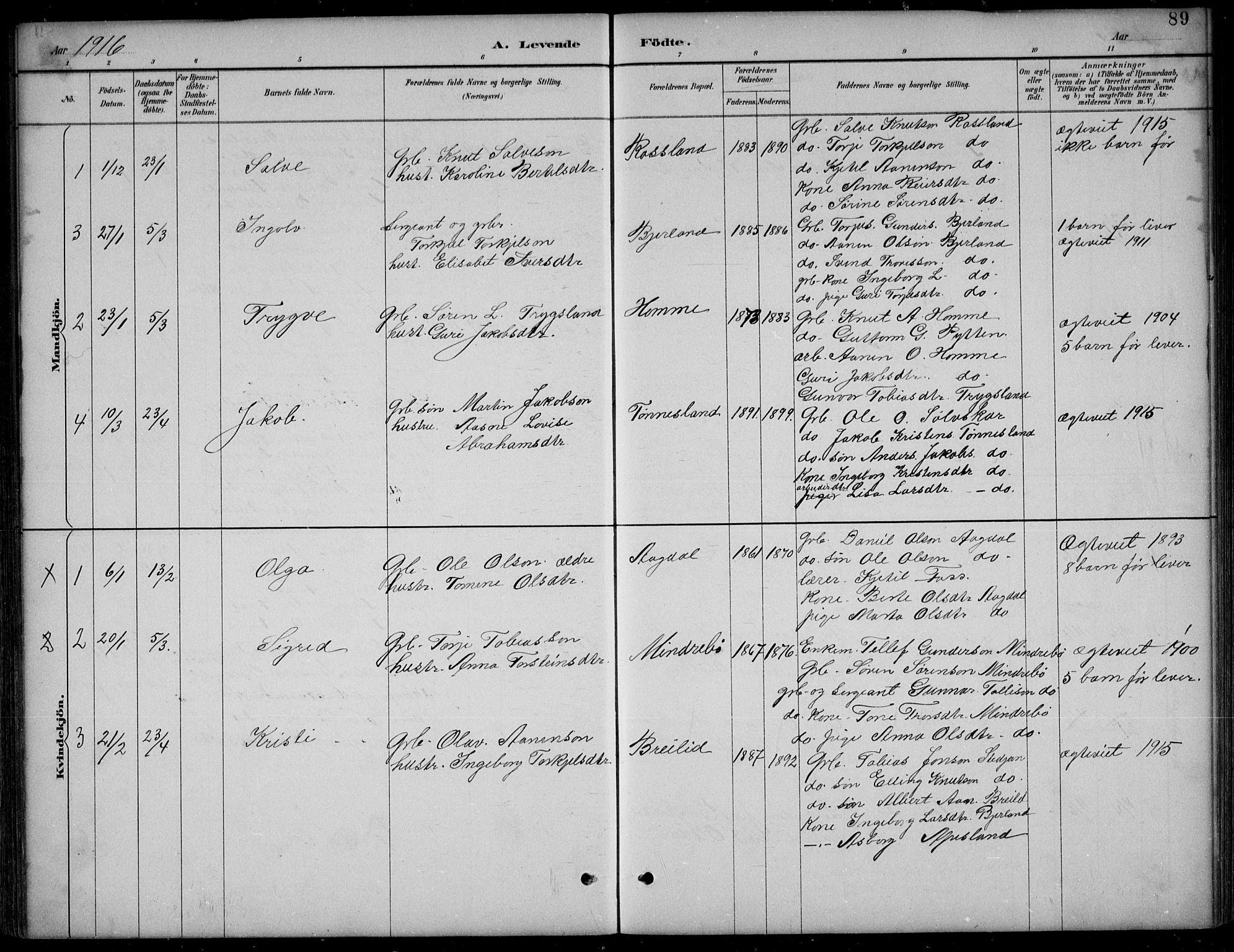 Bjelland sokneprestkontor, AV/SAK-1111-0005/F/Fb/Fba/L0005: Parish register (copy) no. B 5, 1887-1923, p. 89