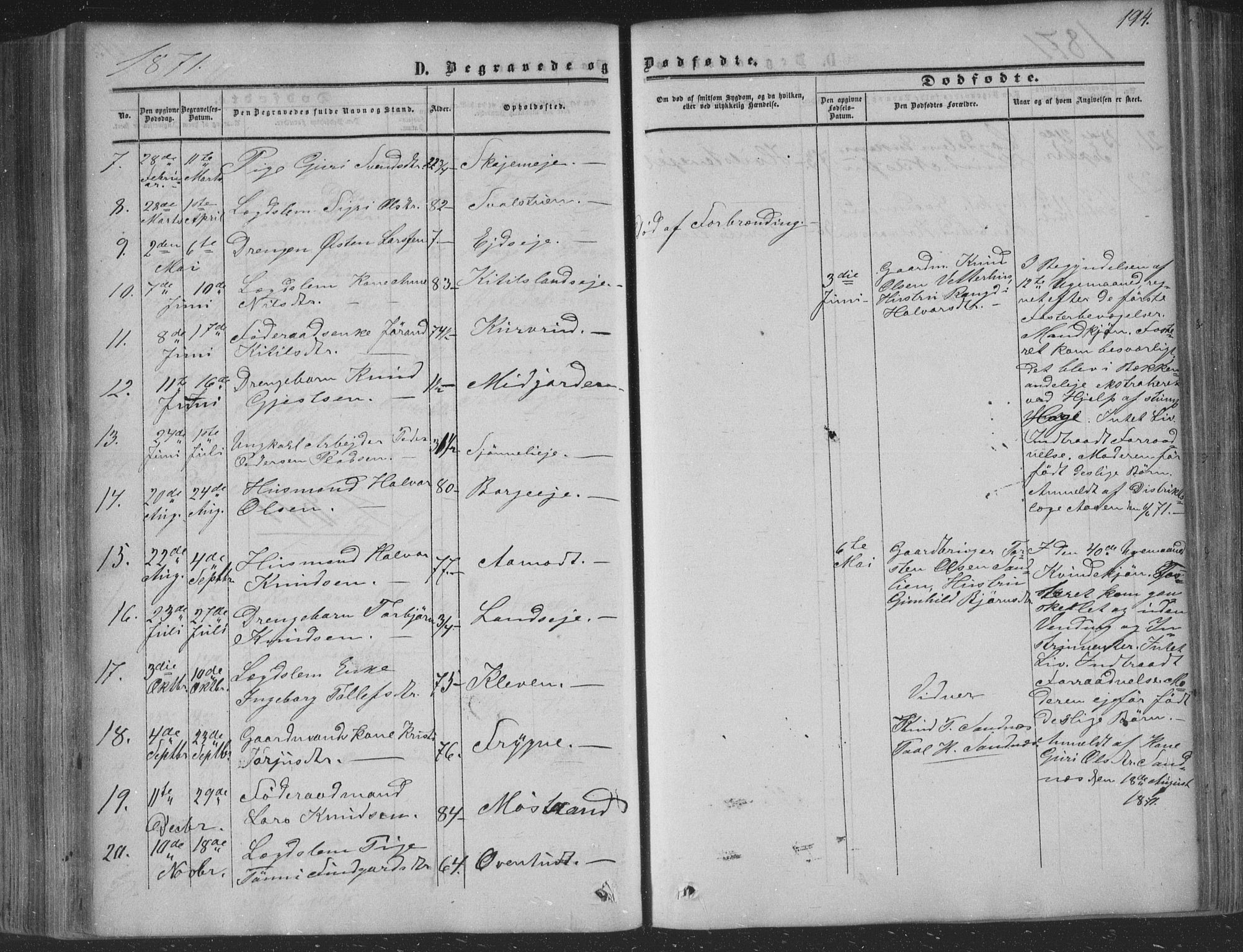 Nore kirkebøker, AV/SAKO-A-238/F/Fa/L0002: Parish register (official) no. I 2, 1856-1871, p. 194