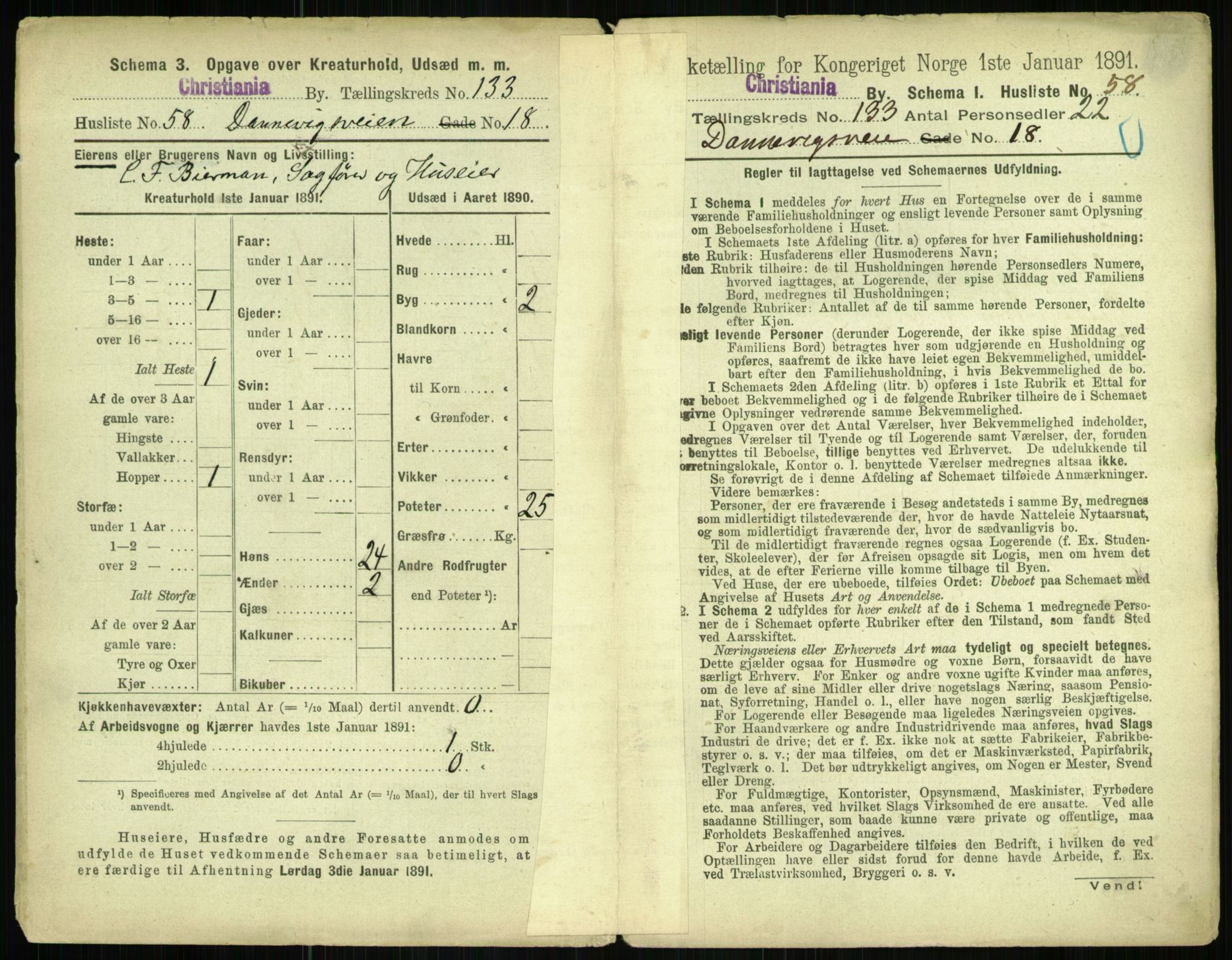 RA, 1891 census for 0301 Kristiania, 1891, p. 72411