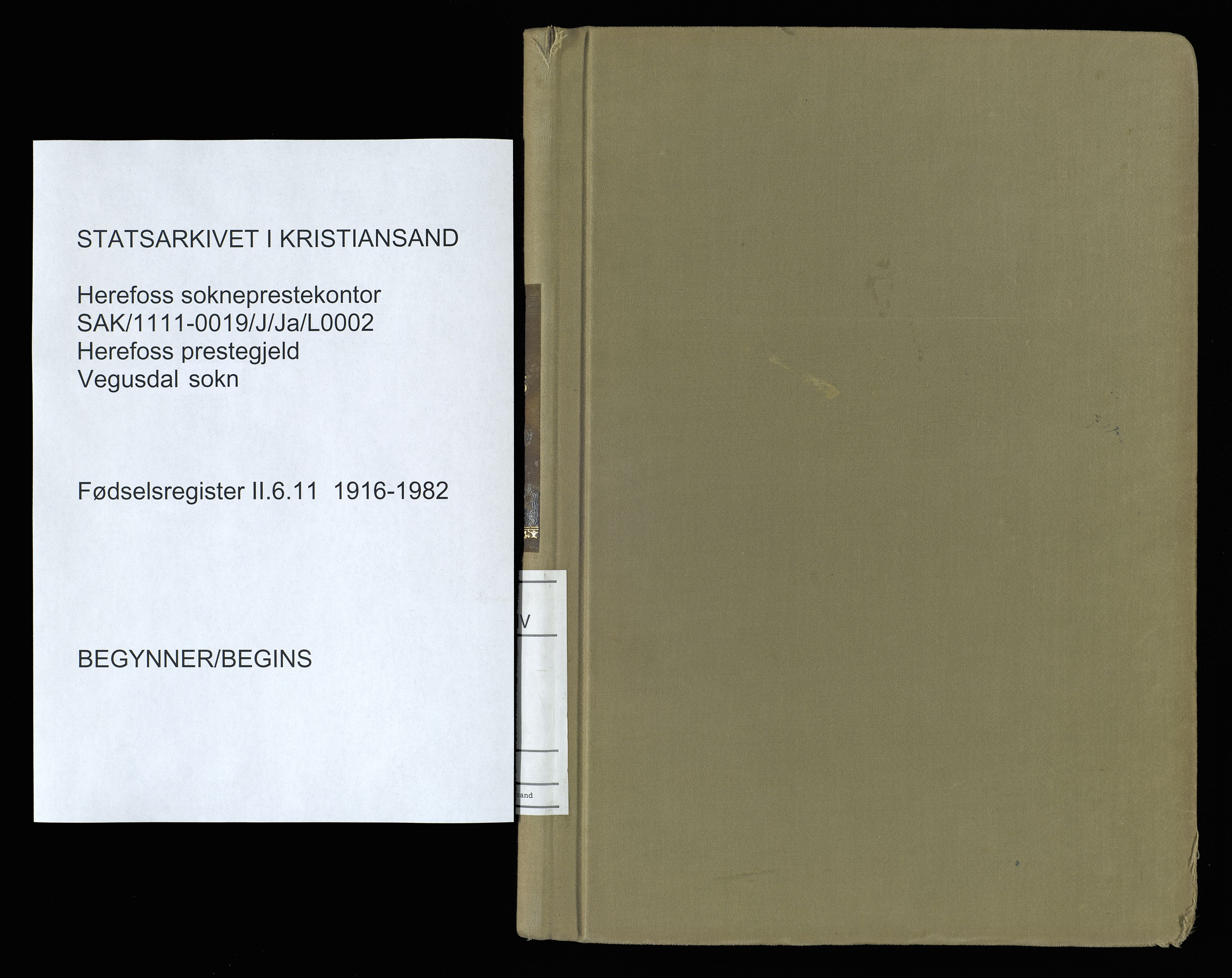 Herefoss sokneprestkontor, AV/SAK-1111-0019/J/Ja/L0002: Birth register no. II.6.11, 1916-1982