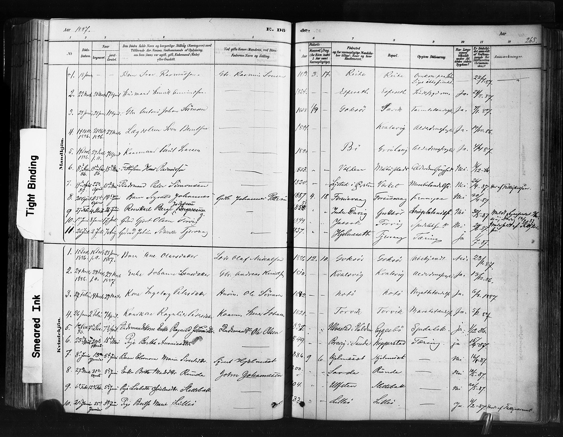 Ministerialprotokoller, klokkerbøker og fødselsregistre - Møre og Romsdal, SAT/A-1454/507/L0073: Parish register (official) no. 507A08, 1878-1904, p. 265