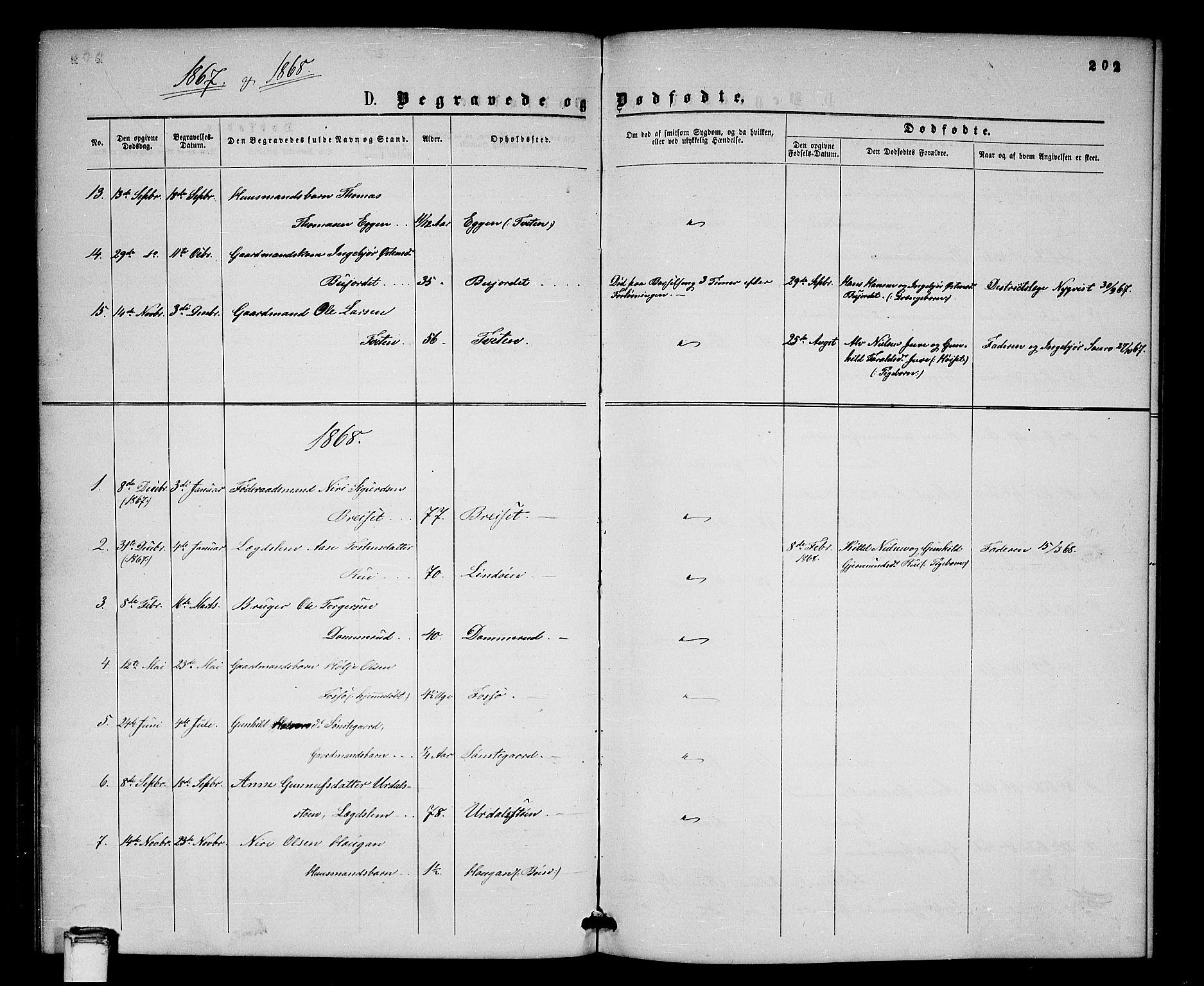 Gransherad kirkebøker, SAKO/A-267/G/Gb/L0002: Parish register (copy) no. II 2, 1860-1886, p. 202