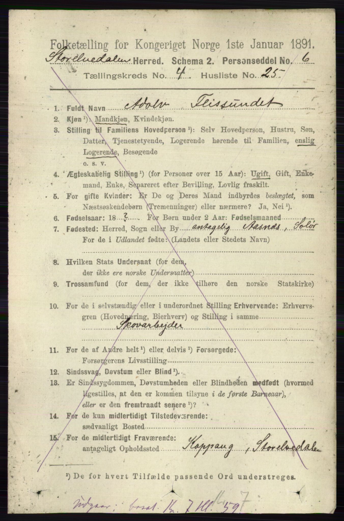 RA, 1891 census for 0430 Stor-Elvdal, 1891, p. 1576
