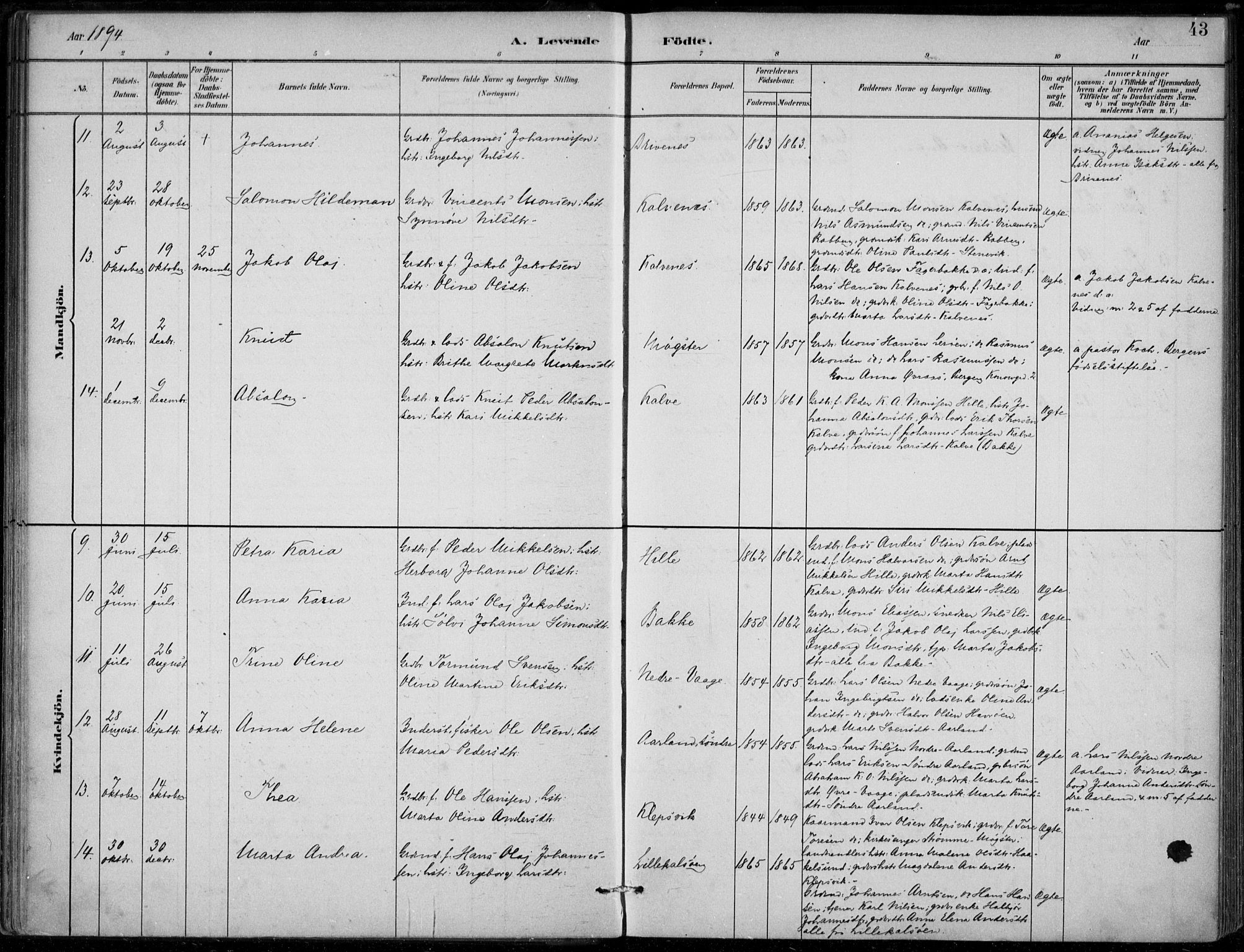 Sund sokneprestembete, AV/SAB-A-99930: Parish register (official) no. D 1, 1882-1899, p. 43