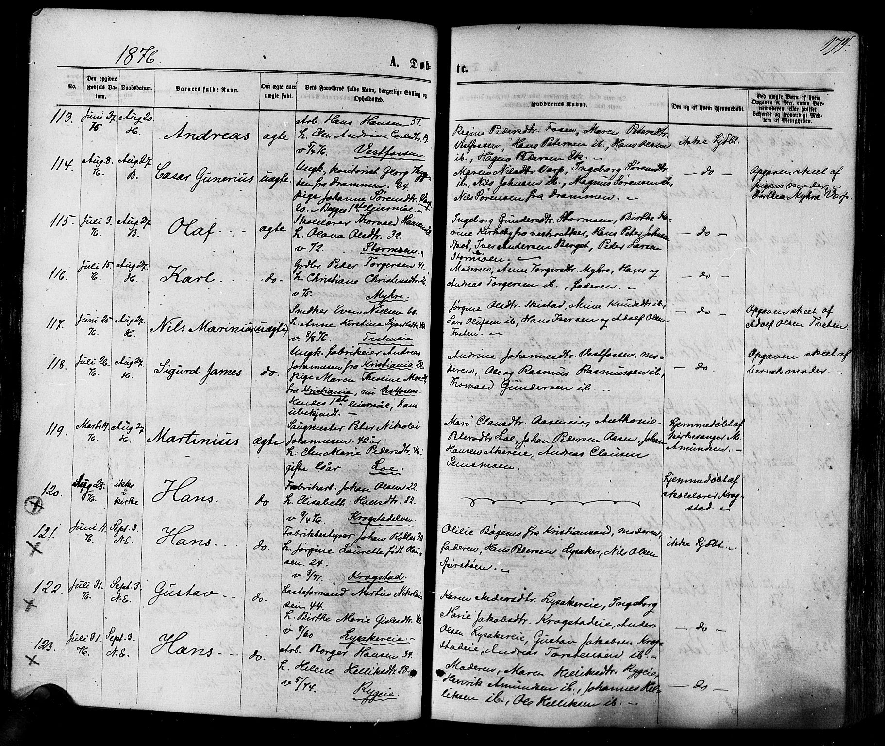 Eiker kirkebøker, AV/SAKO-A-4/F/Fa/L0017: Parish register (official) no. I 17, 1869-1877, p. 174