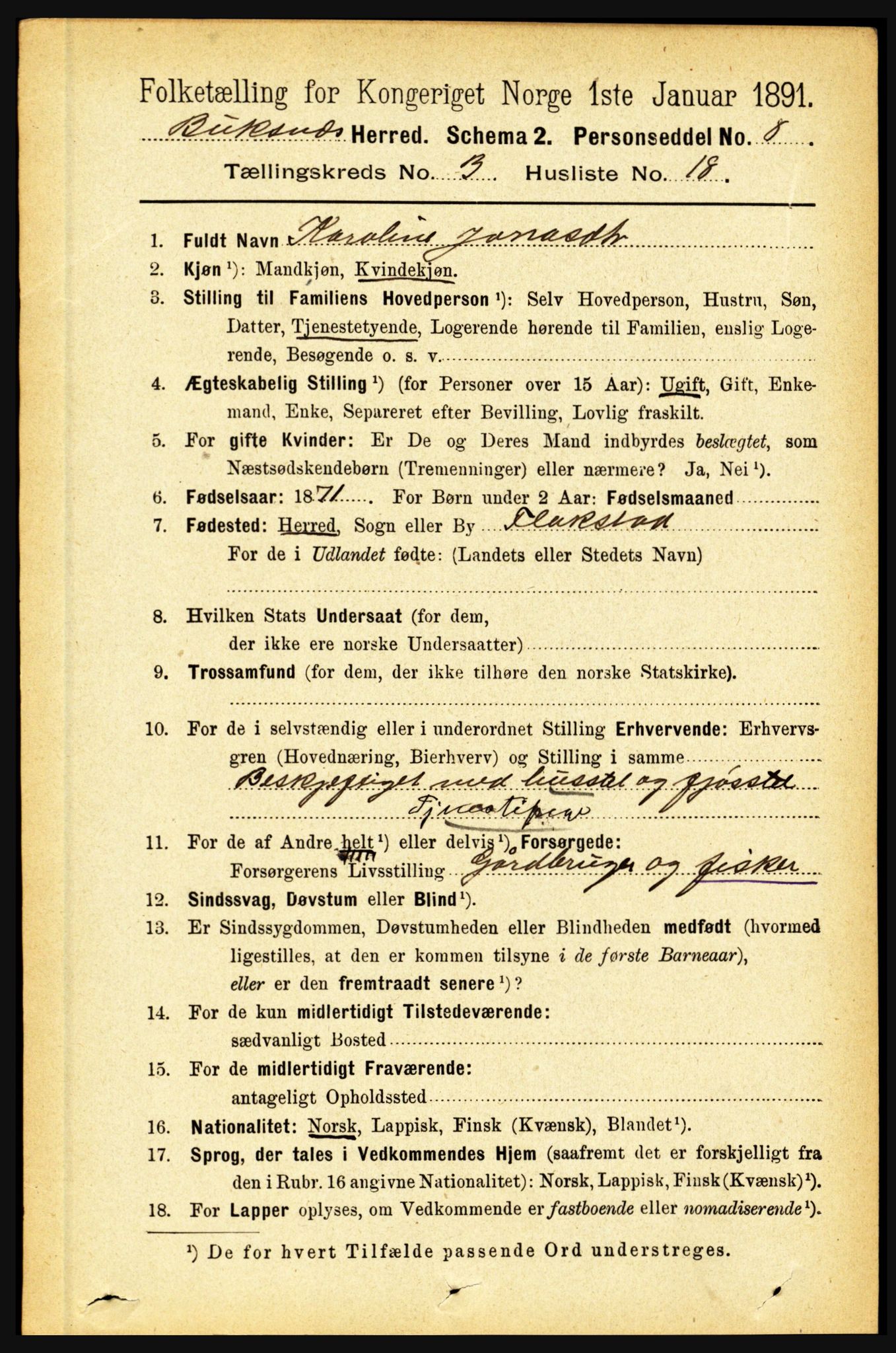 RA, 1891 census for 1860 Buksnes, 1891, p. 2315