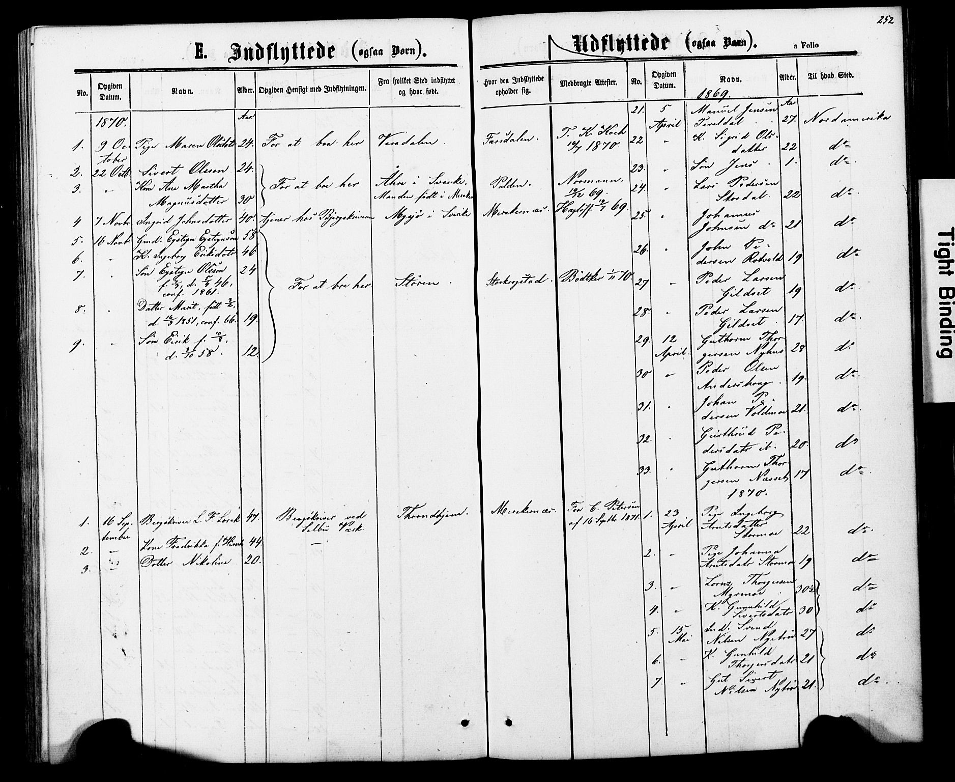 Ministerialprotokoller, klokkerbøker og fødselsregistre - Nord-Trøndelag, AV/SAT-A-1458/706/L0049: Parish register (copy) no. 706C01, 1864-1895, p. 252