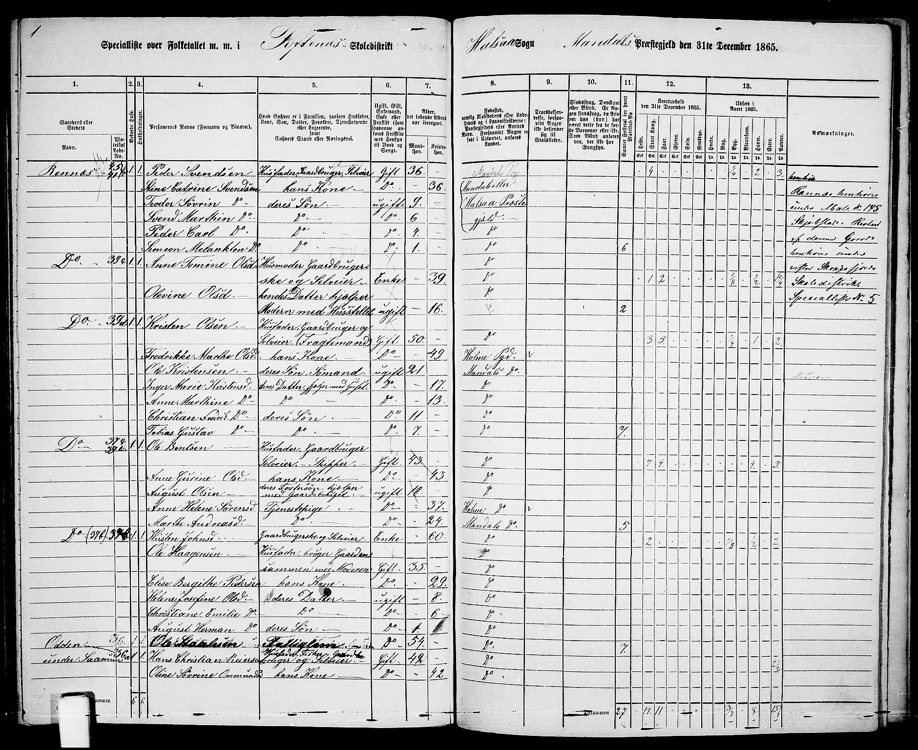 RA, 1865 census for Mandal/Halse og Harkmark, 1865, p. 110