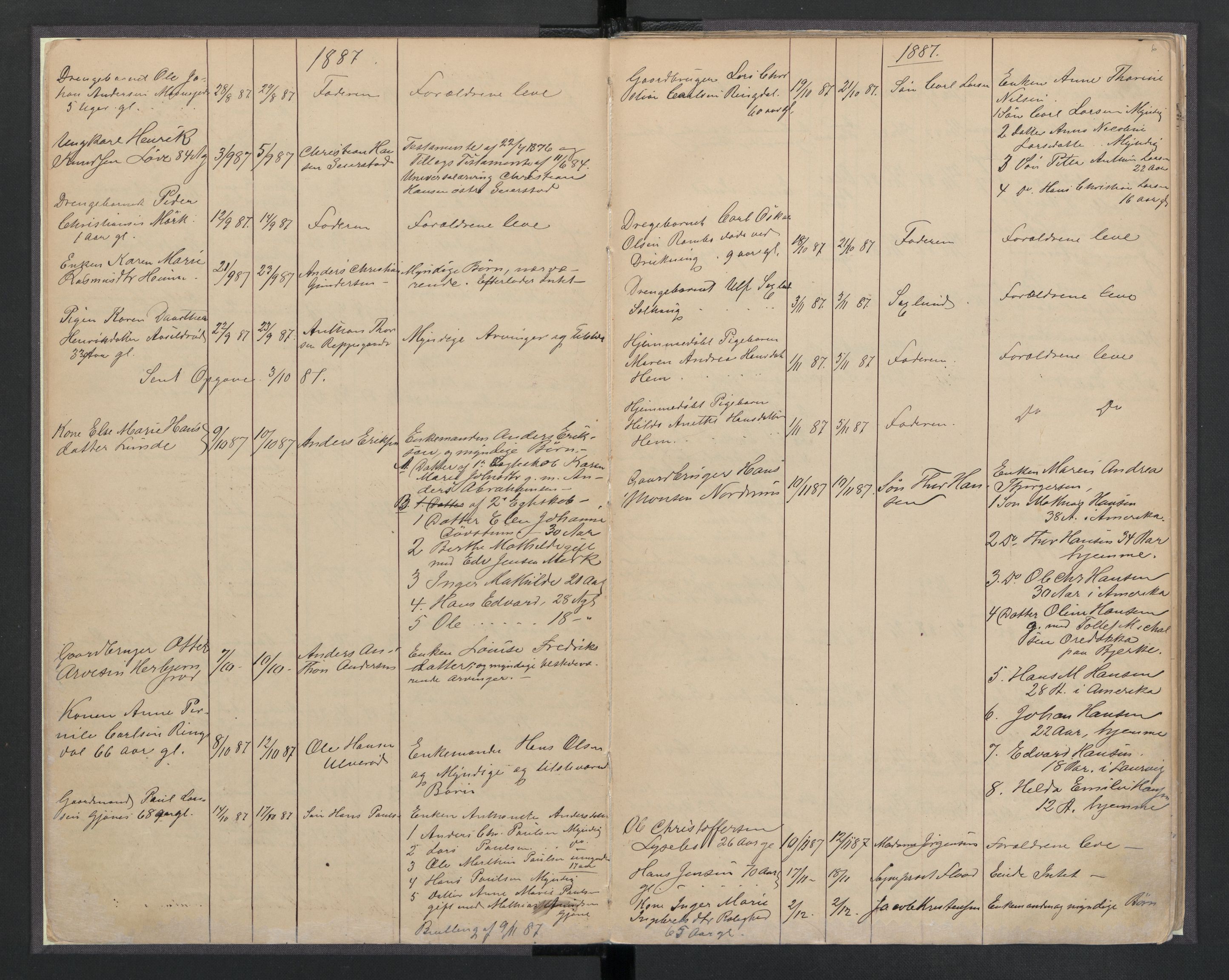 Hedrum lensmannskontor, SAKO/A-536/H/Ha/L0001: Dødsfallsprotokoll, 1886-1908, p. 6