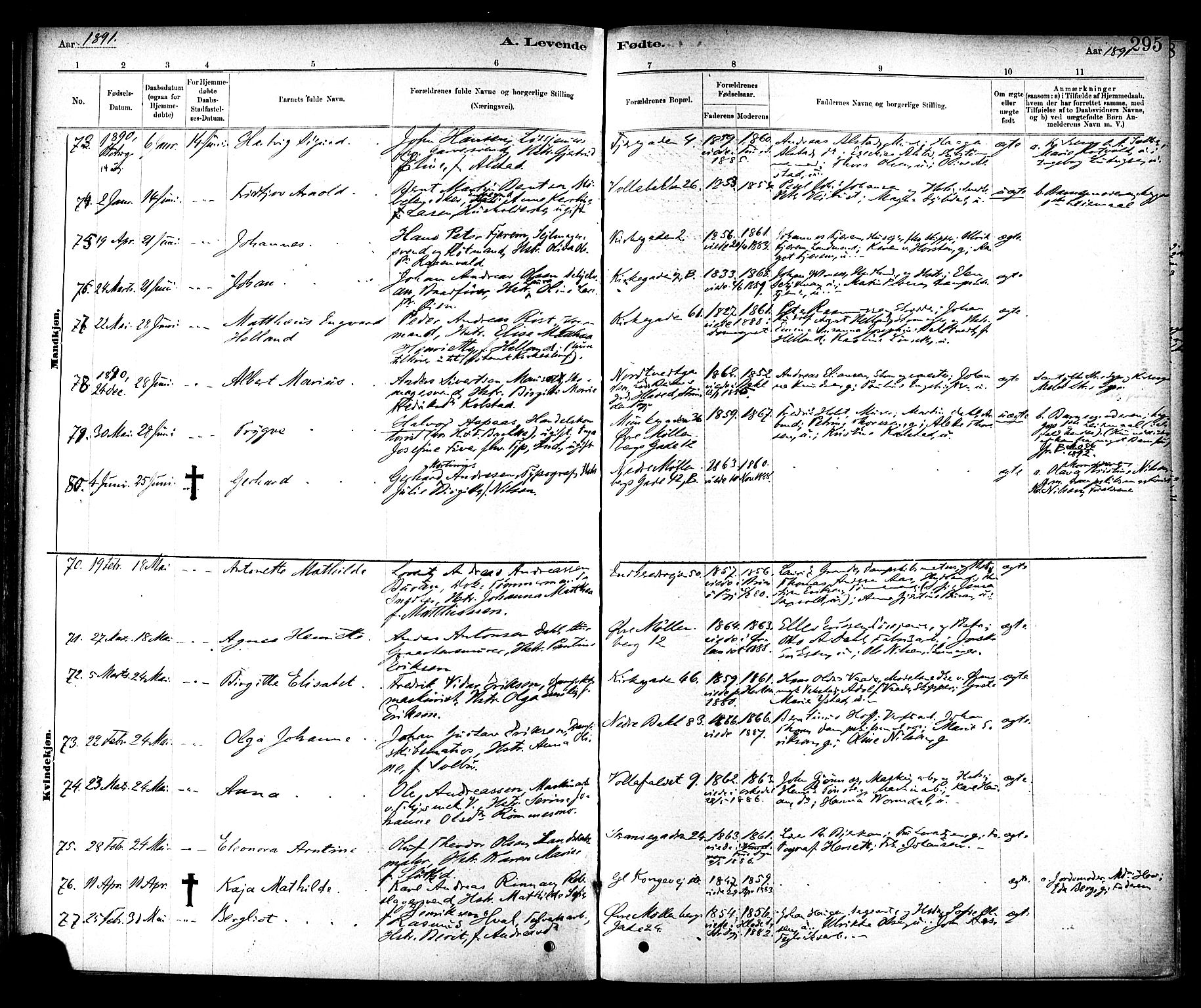 Ministerialprotokoller, klokkerbøker og fødselsregistre - Sør-Trøndelag, SAT/A-1456/604/L0188: Parish register (official) no. 604A09, 1878-1892, p. 295