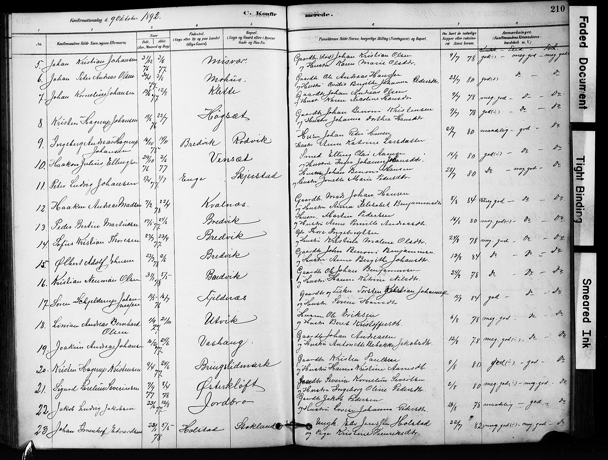 Ministerialprotokoller, klokkerbøker og fødselsregistre - Nordland, SAT/A-1459/852/L0754: Parish register (copy) no. 852C05, 1878-1894, p. 210