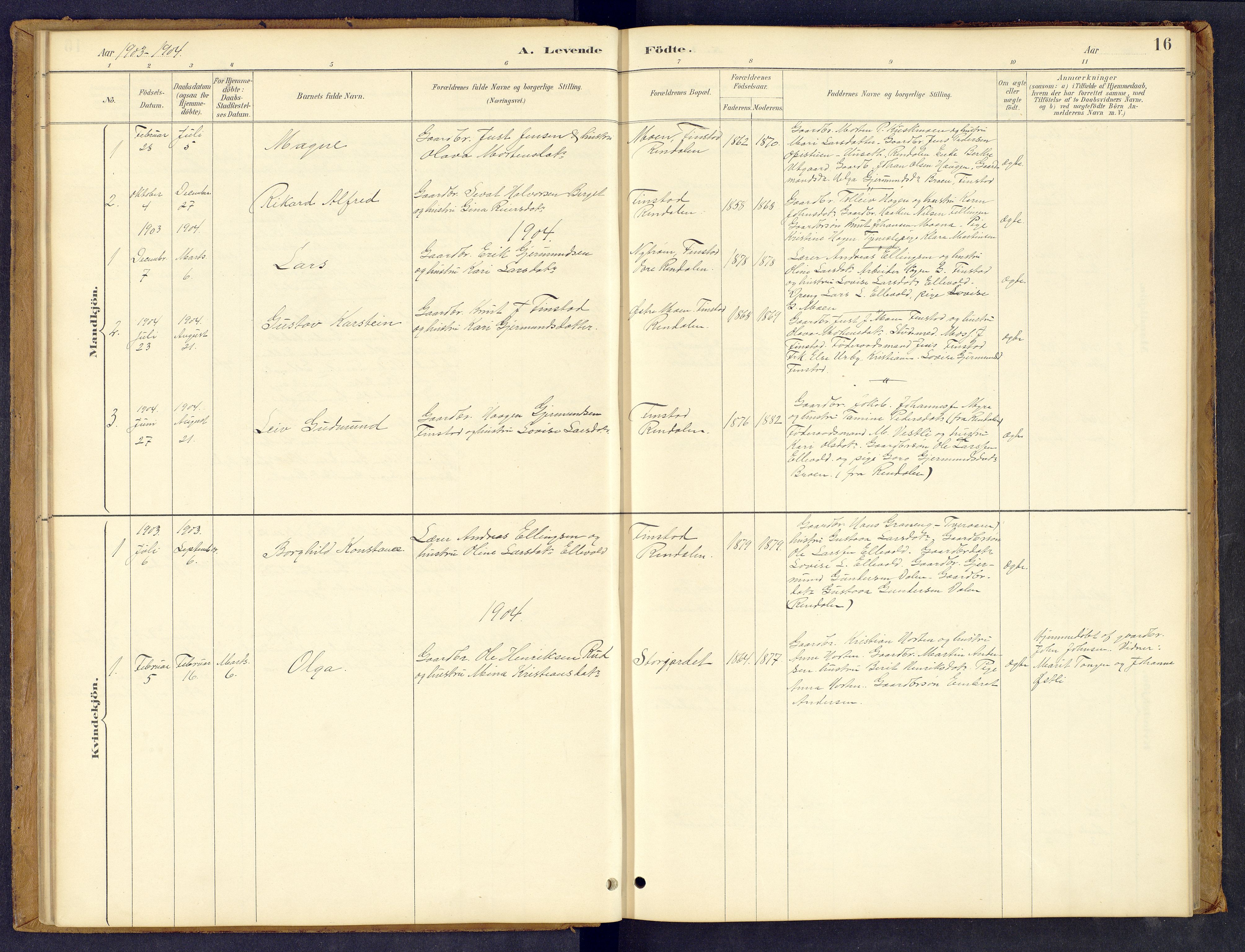 Tynset prestekontor, SAH/PREST-058/H/Ha/Hab/L0008: Parish register (copy) no. 8, 1884-1916, p. 16