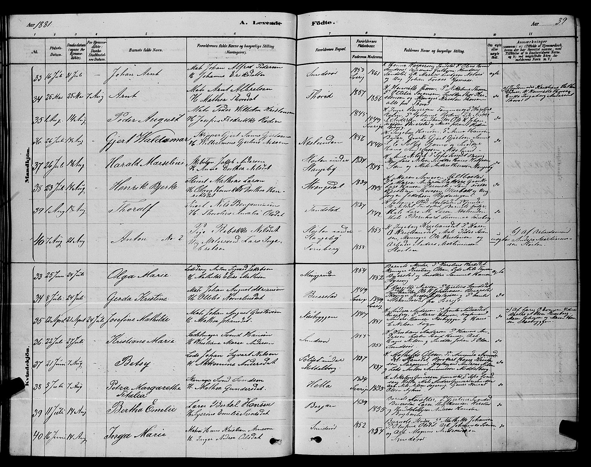 Nøtterøy kirkebøker, AV/SAKO-A-354/G/Ga/L0003: Parish register (copy) no. I 3, 1878-1893, p. 39