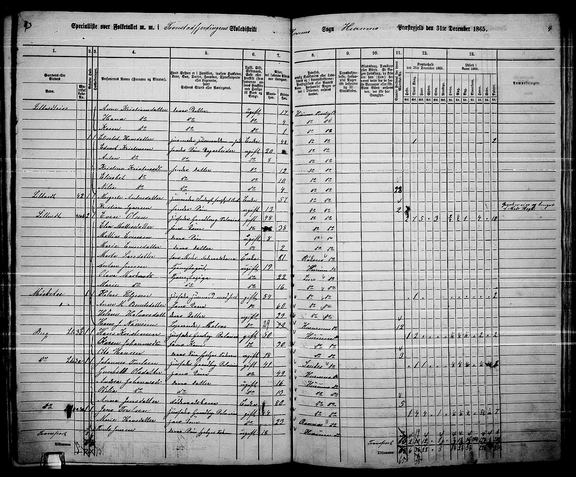 RA, 1865 census for Hurum, 1865, p. 30