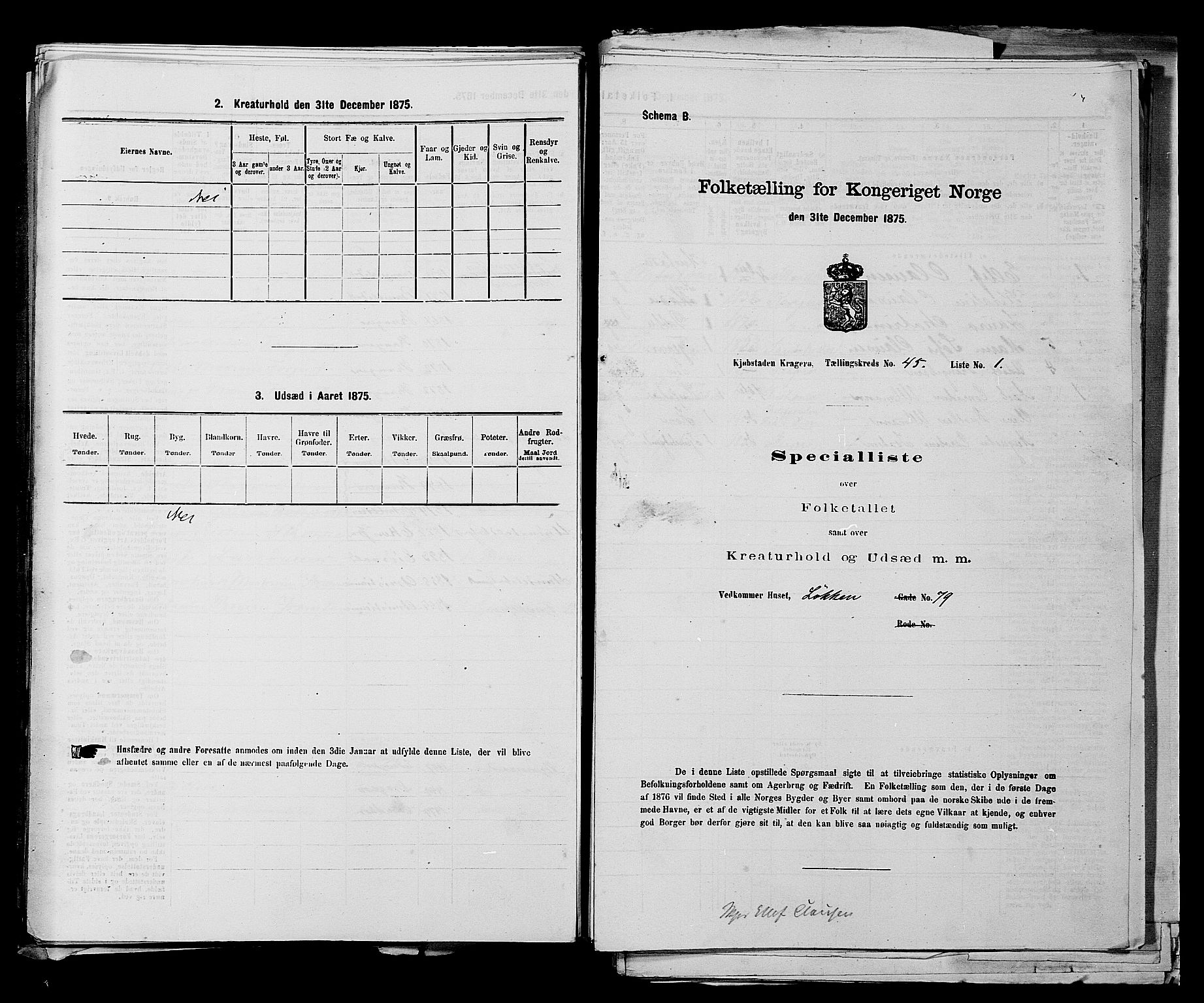 SAKO, 1875 census for 0801P Kragerø, 1875, p. 989