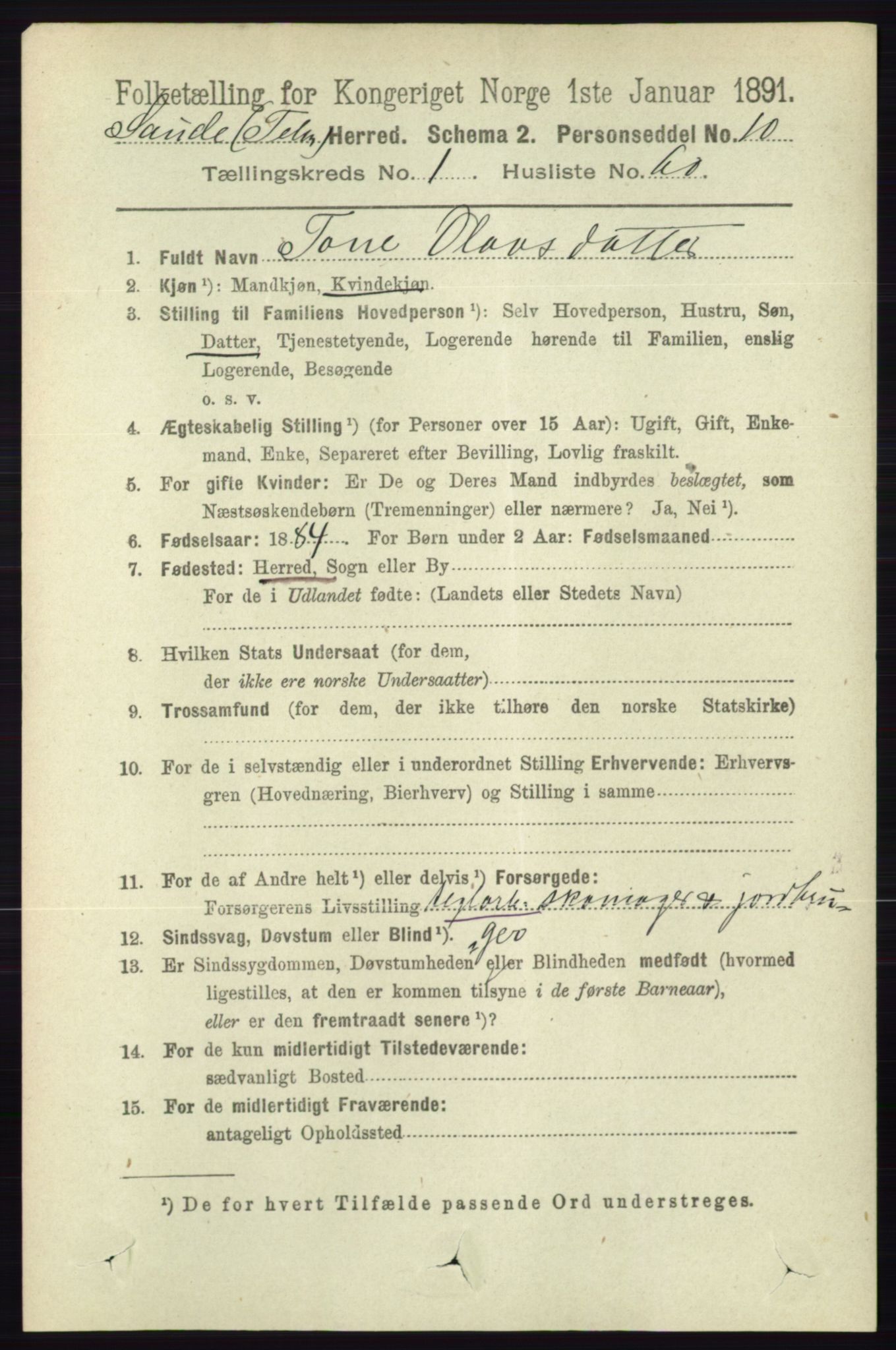 RA, 1891 census for 0822 Sauherad, 1891, p. 382