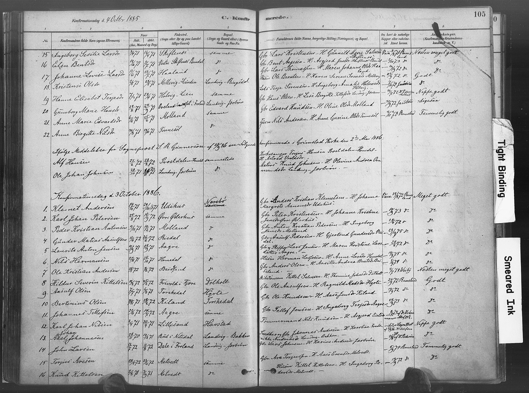 Hommedal sokneprestkontor, SAK/1111-0023/F/Fa/Fab/L0006: Parish register (official) no. A 6, 1878-1897, p. 105
