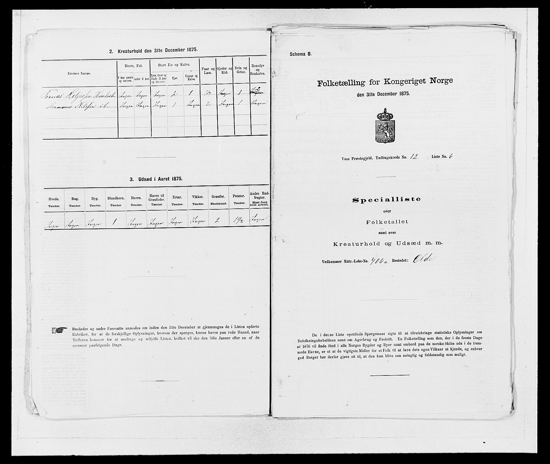 SAB, 1875 census for 1235P Voss, 1875, p. 1409