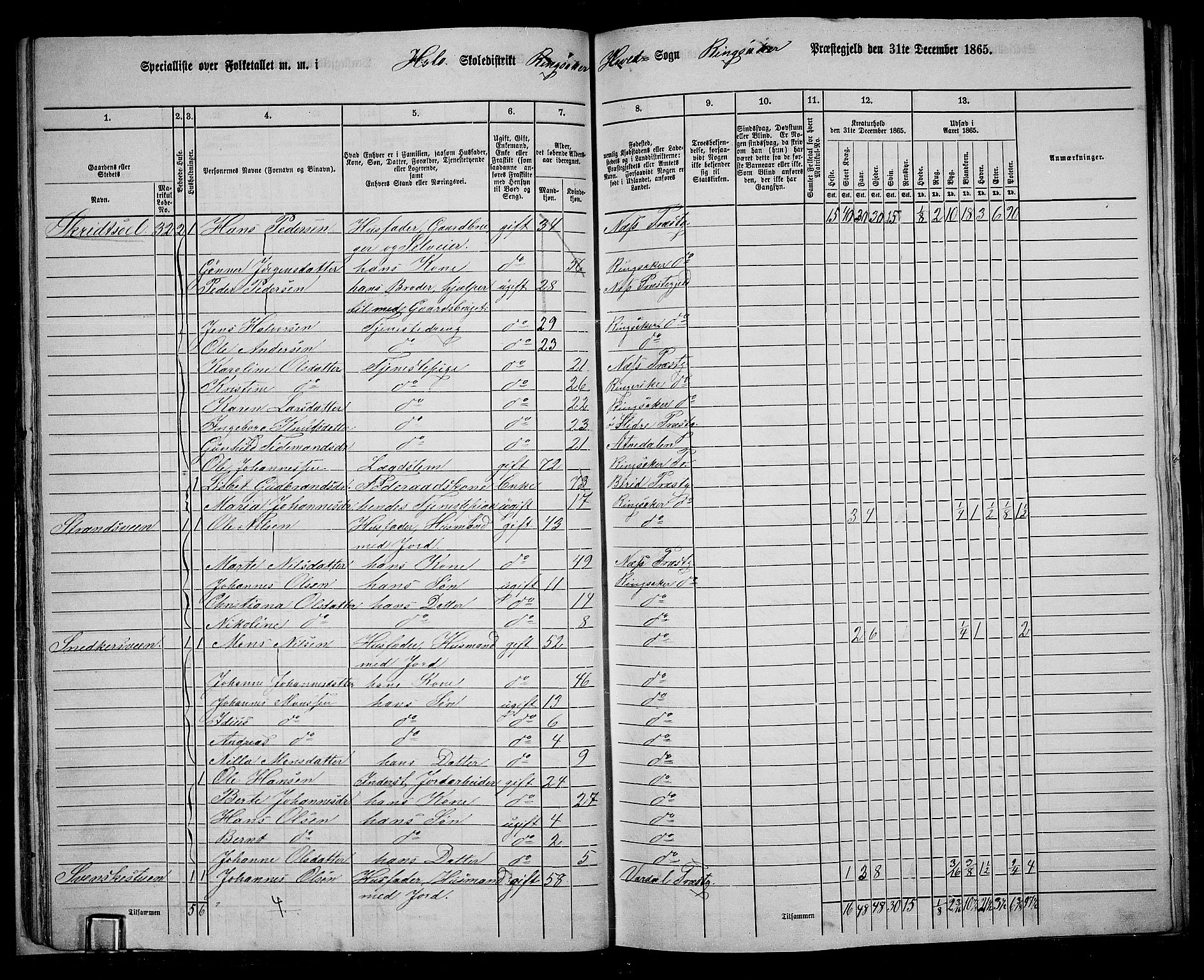 RA, 1865 census for Ringsaker, 1865, p. 43