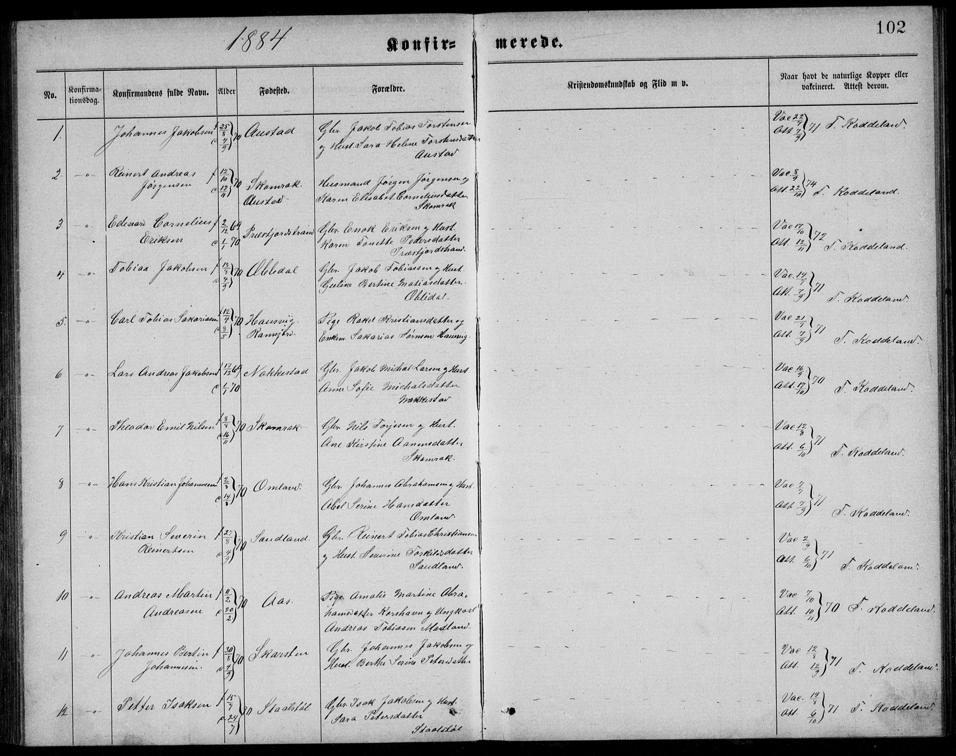 Lyngdal sokneprestkontor, AV/SAK-1111-0029/F/Fb/Fba/L0002: Parish register (copy) no. B 2, 1876-1886, p. 102